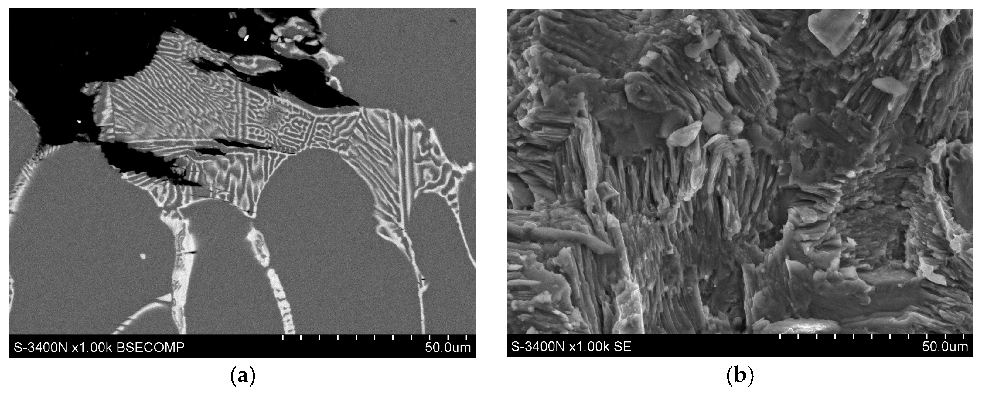 Materials 18 01860 g024 Materials 18 01860 g024