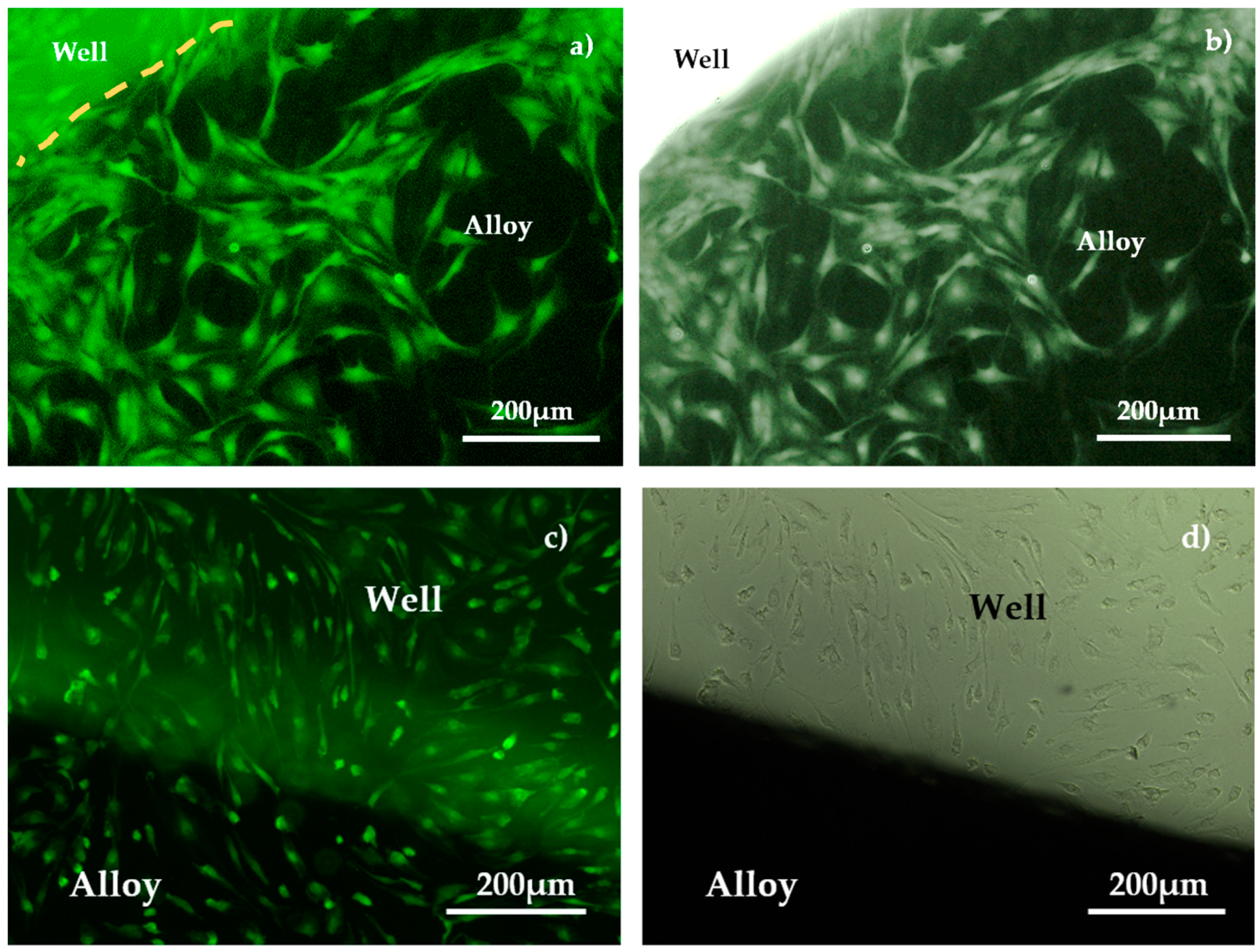 Materials 18 01876 g009