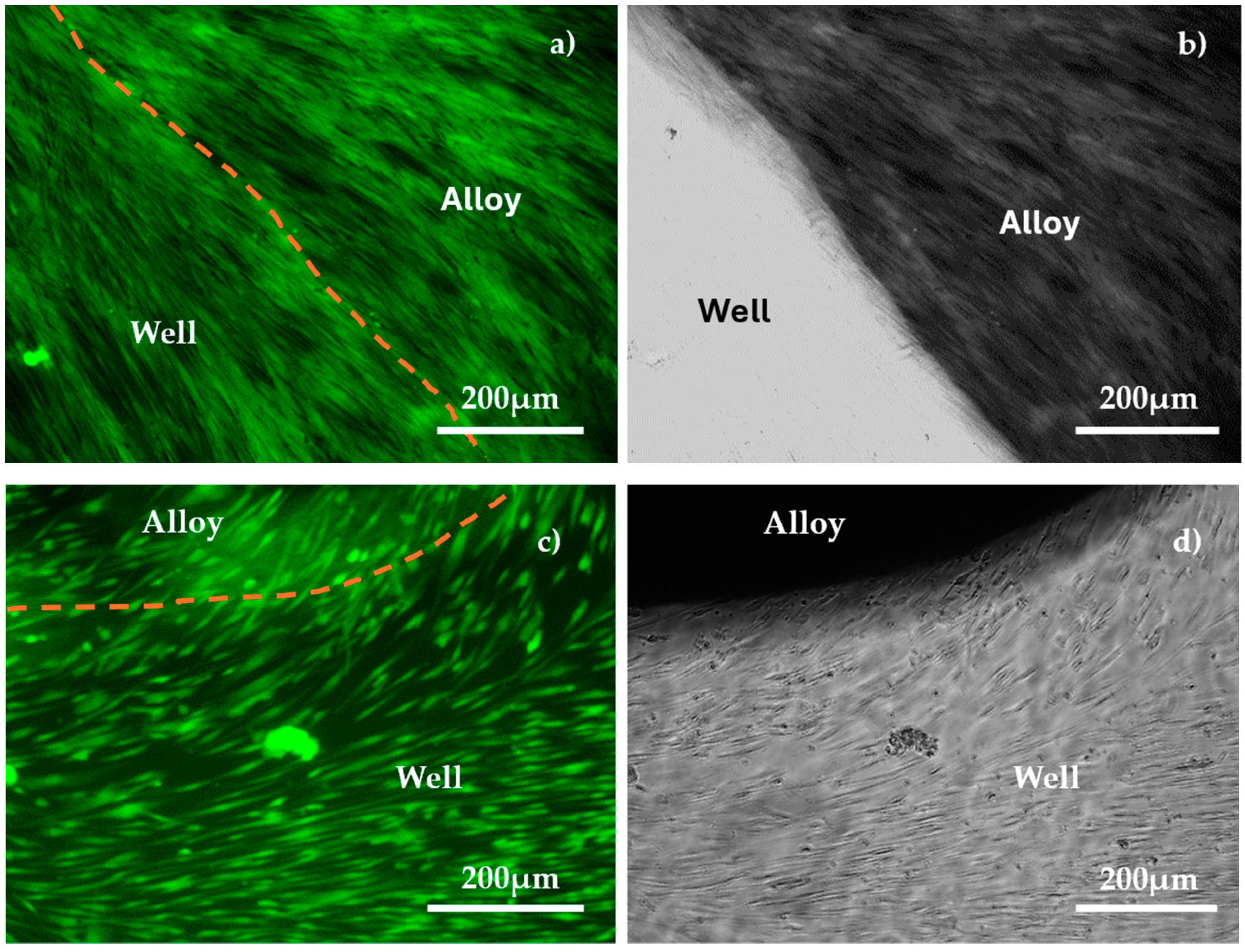 Materials 18 01876 g010