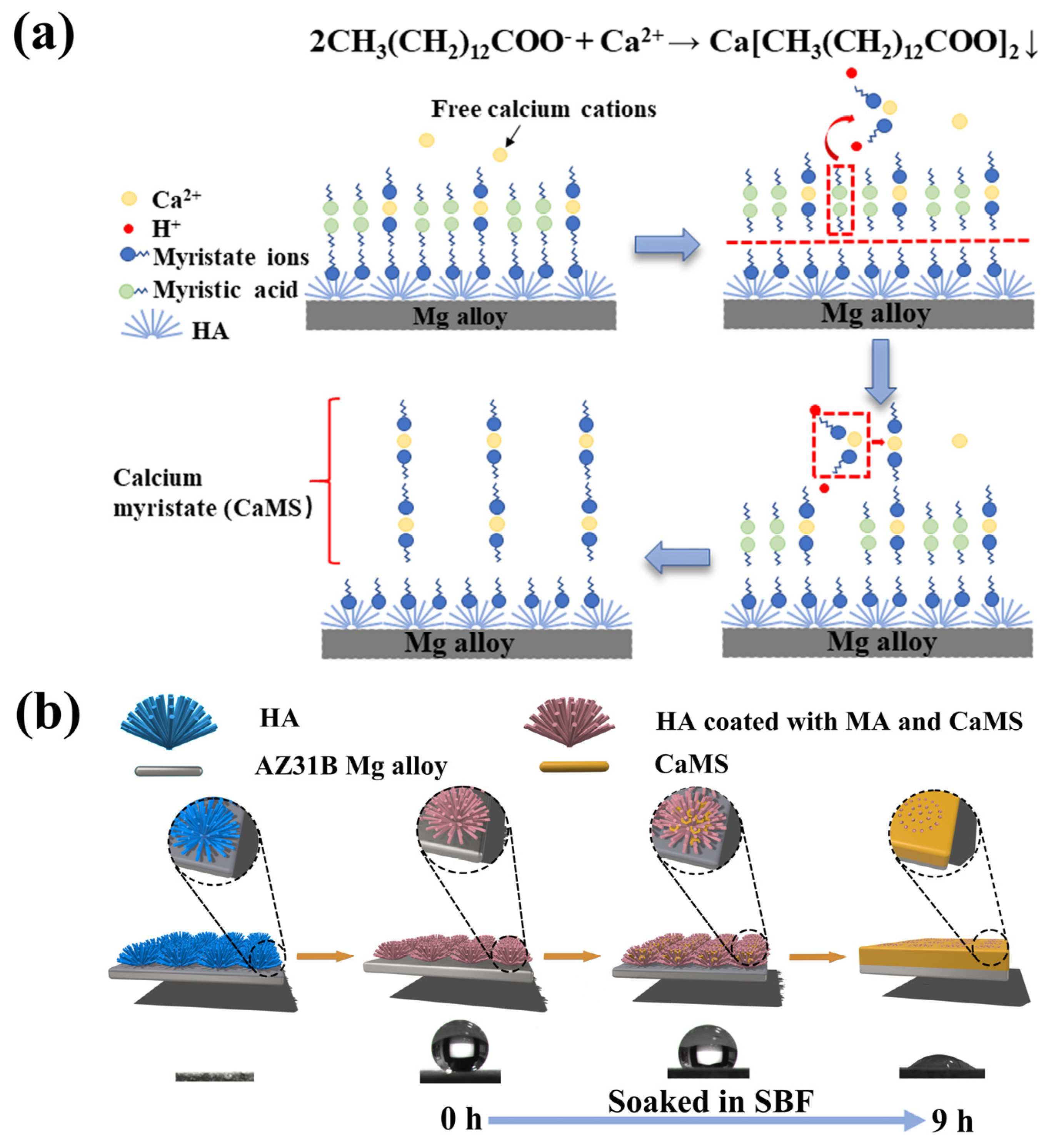 Materials 18 01908 g009