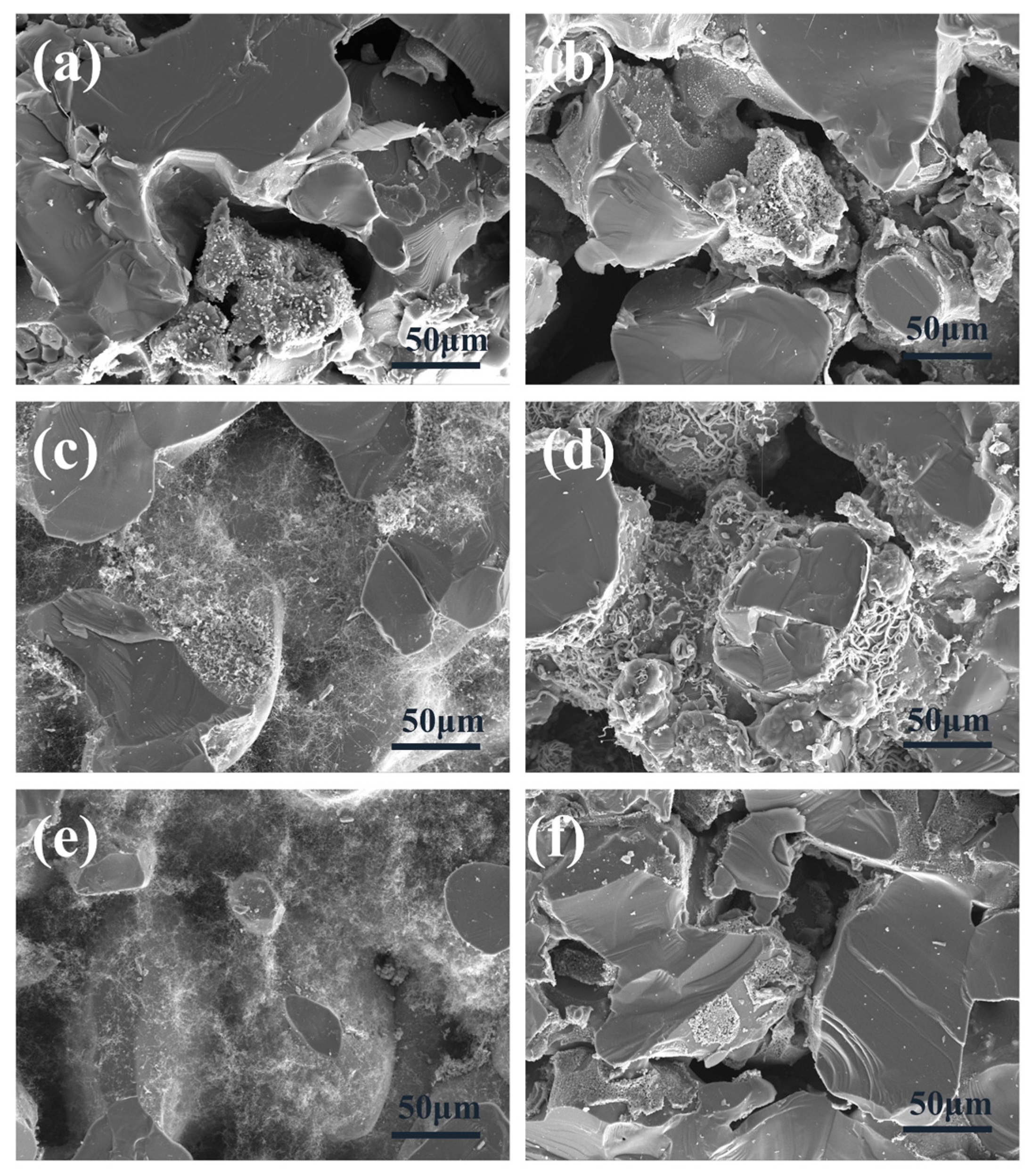 Materials 18 01910 g005