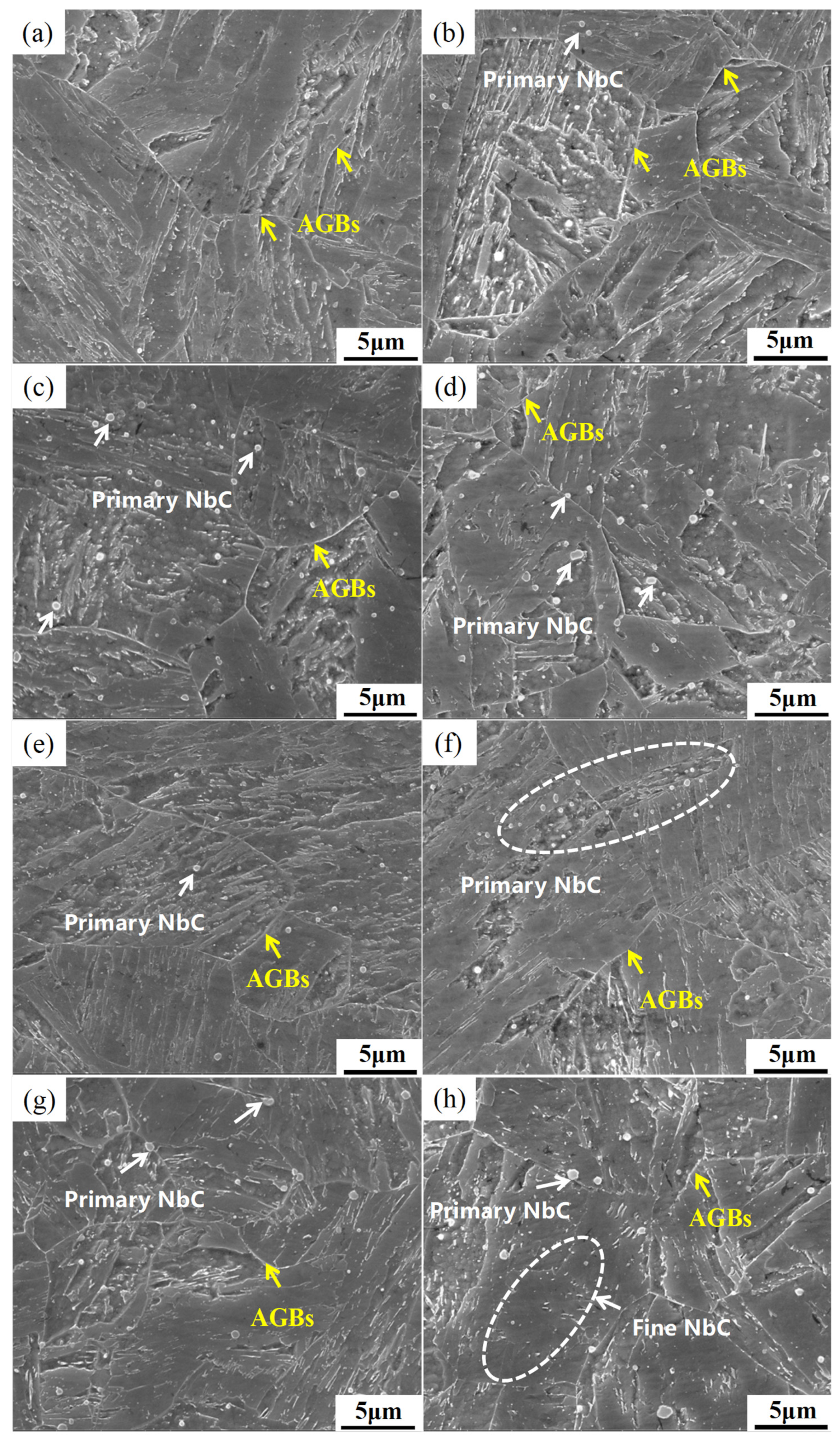 Materials 18 01917 g001