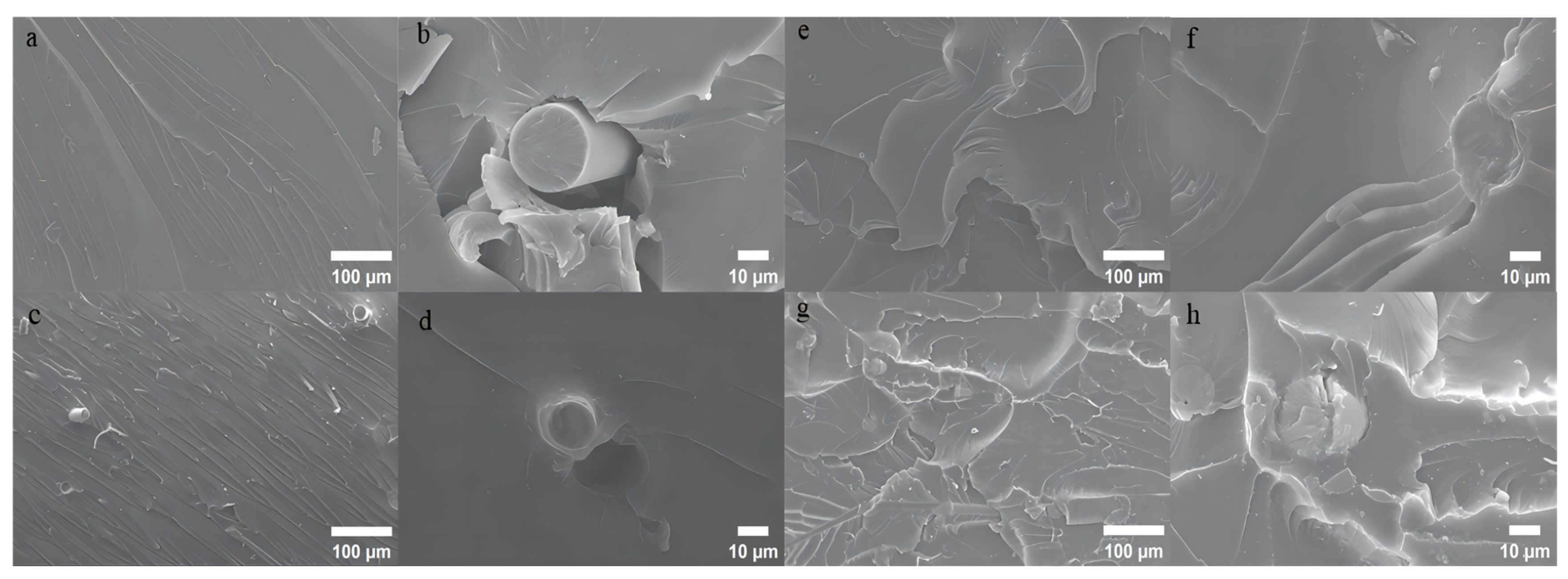 Materials 18 01920 g004