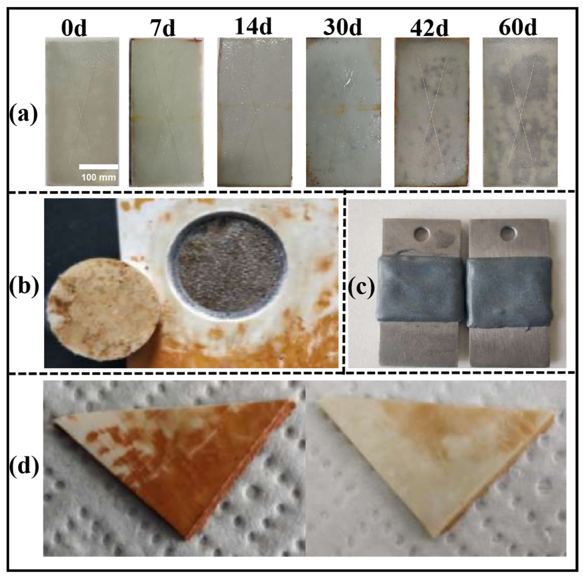 Materials 18 01920 g011