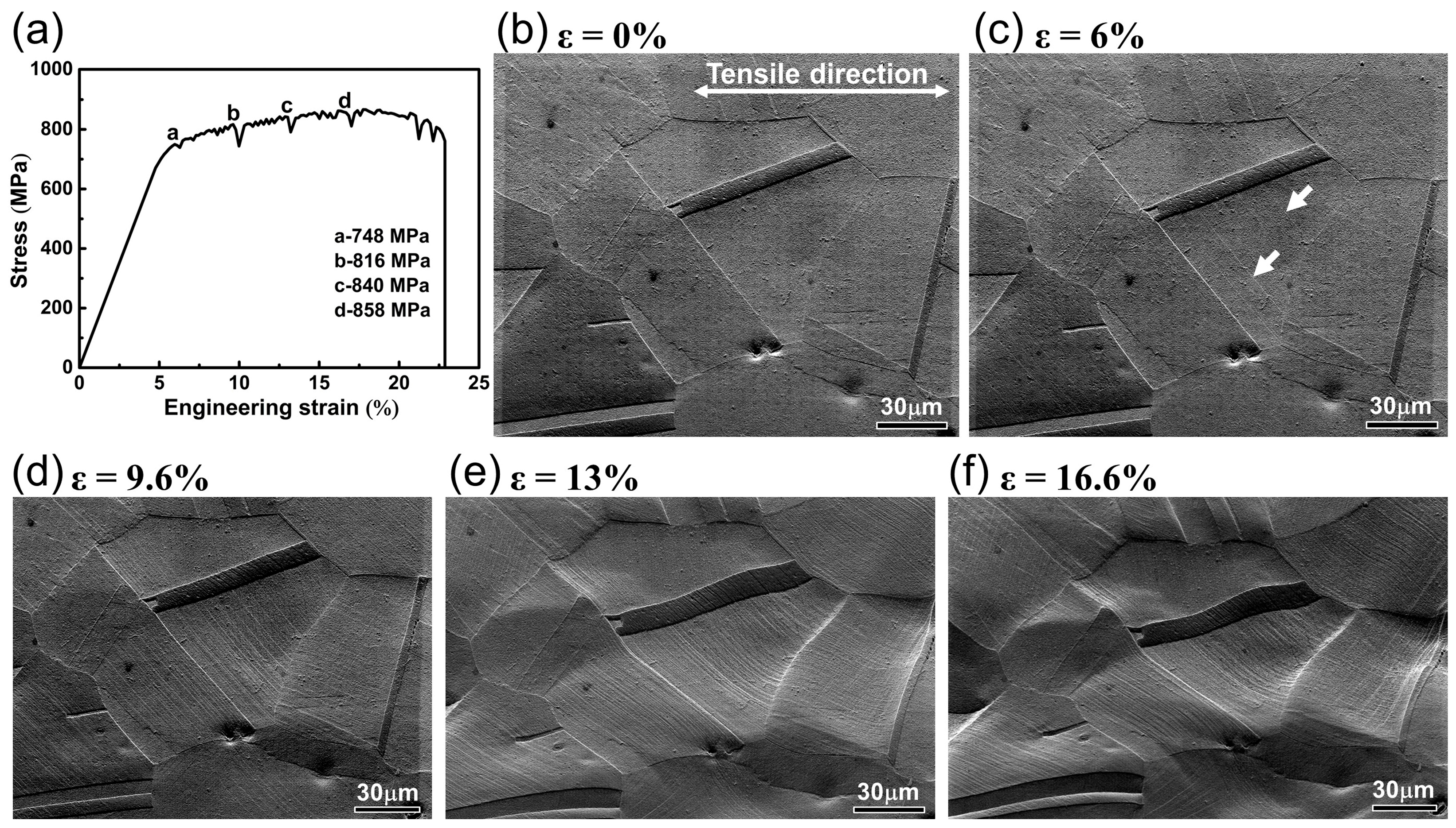 Materials 18 01934 g004
