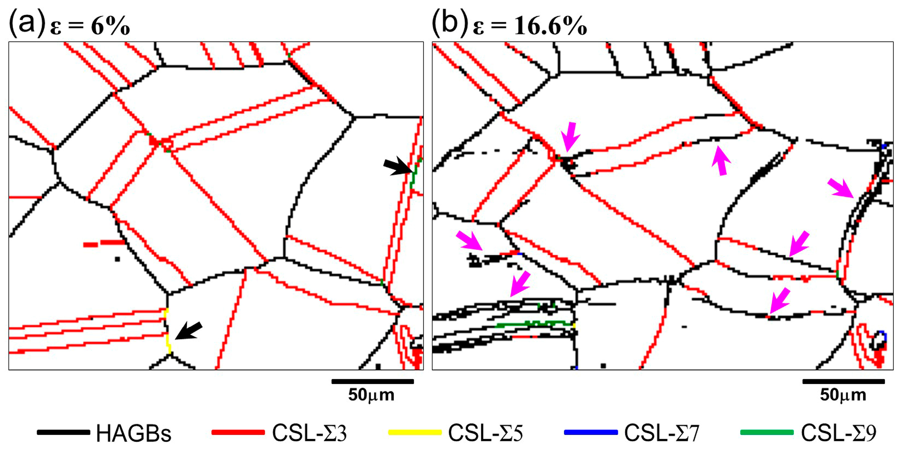 Materials 18 01934 g007
