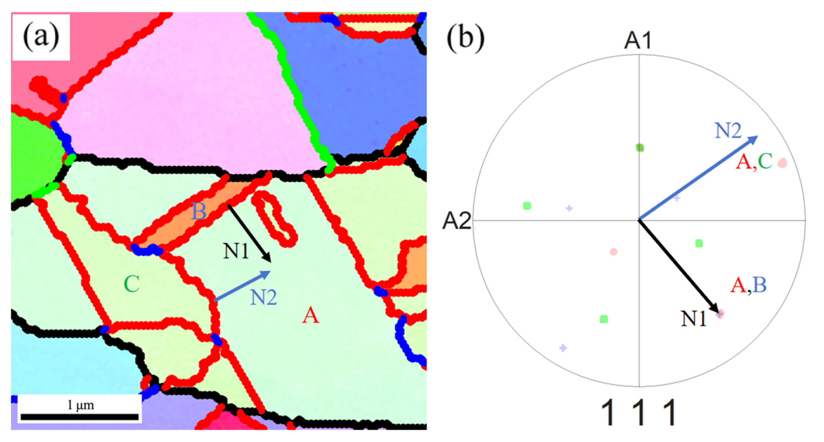 Materials 18 01941 g010