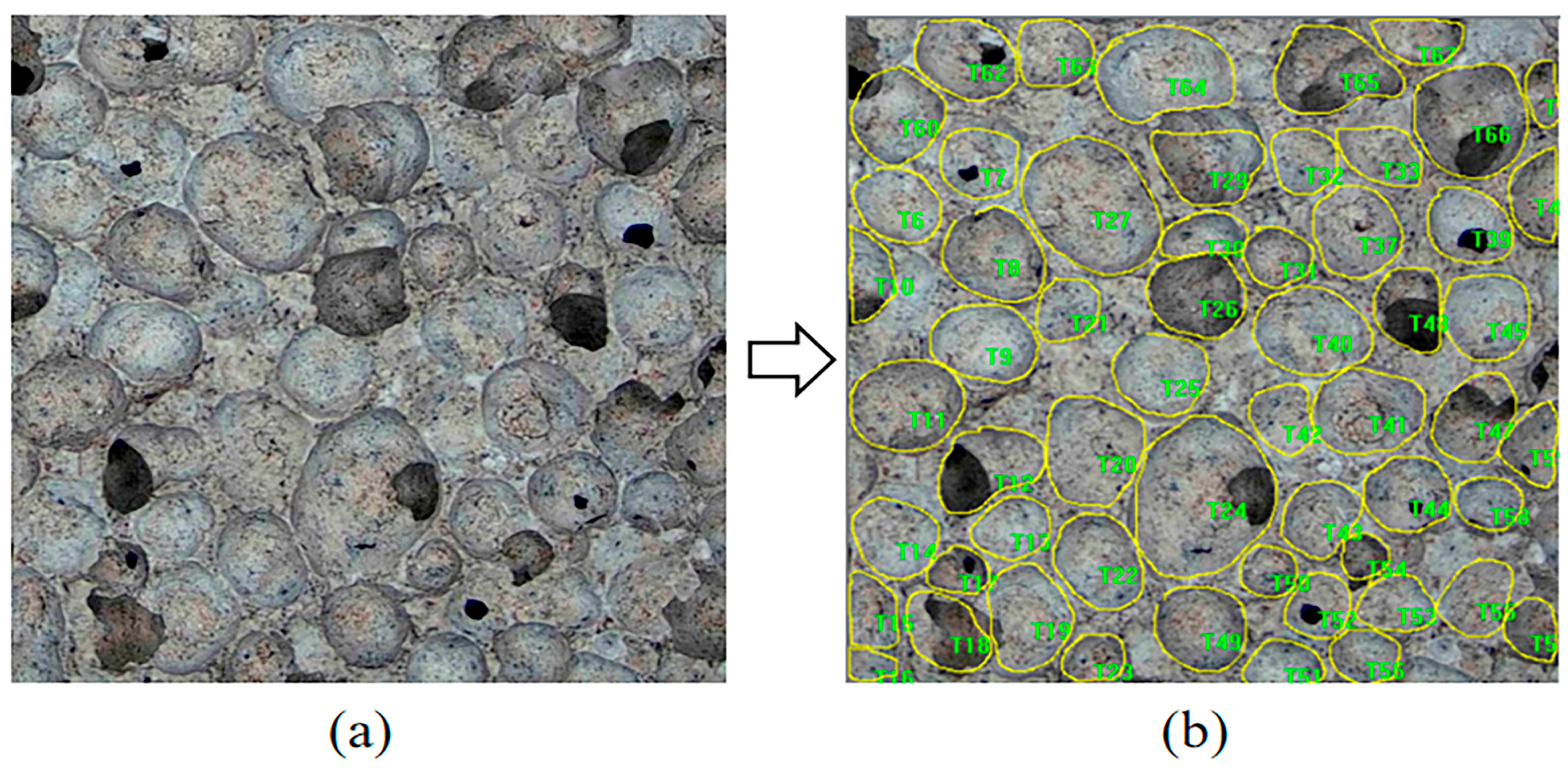 Materials 18 01968 g001