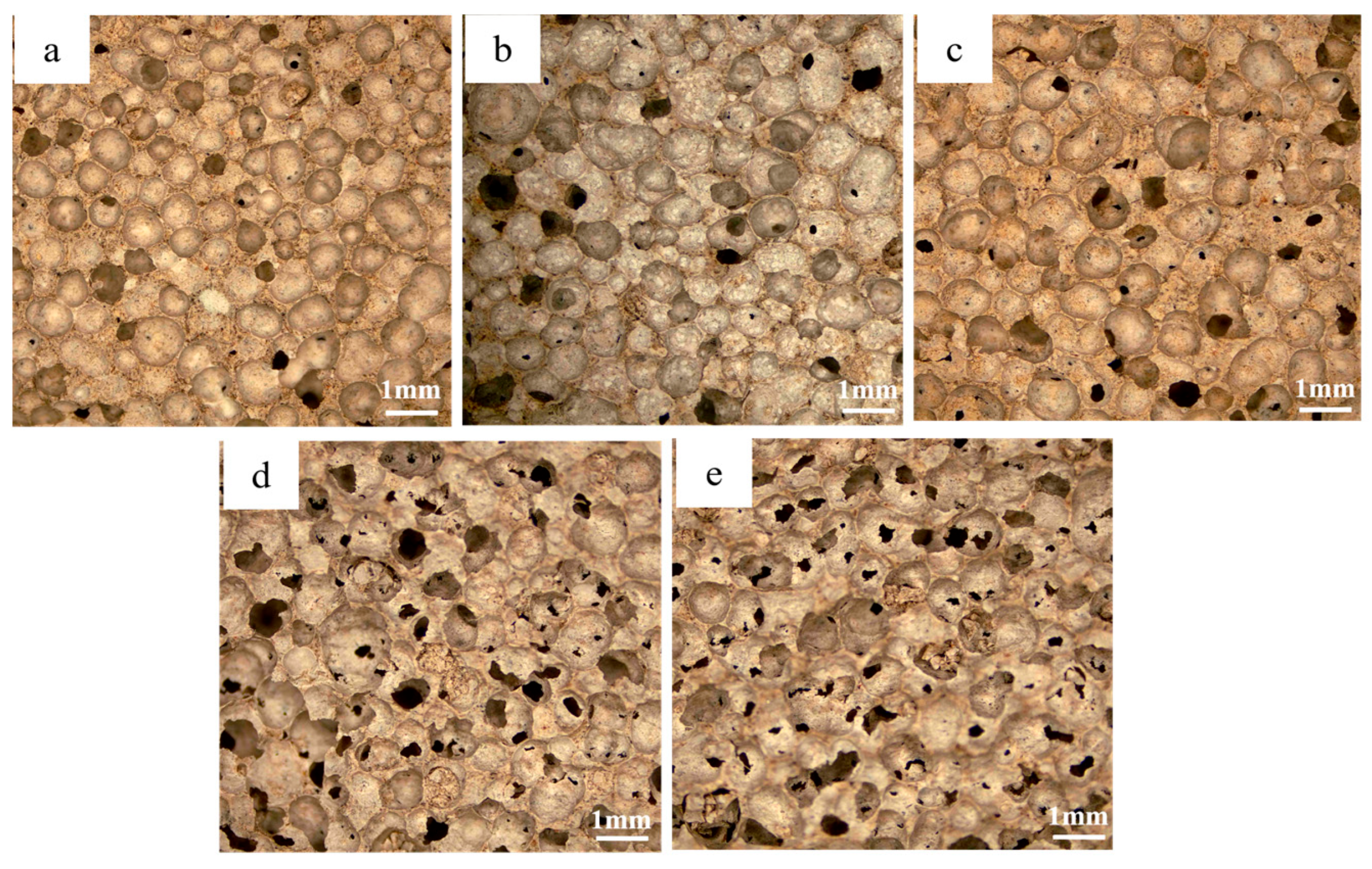 Materials 18 01968 g011