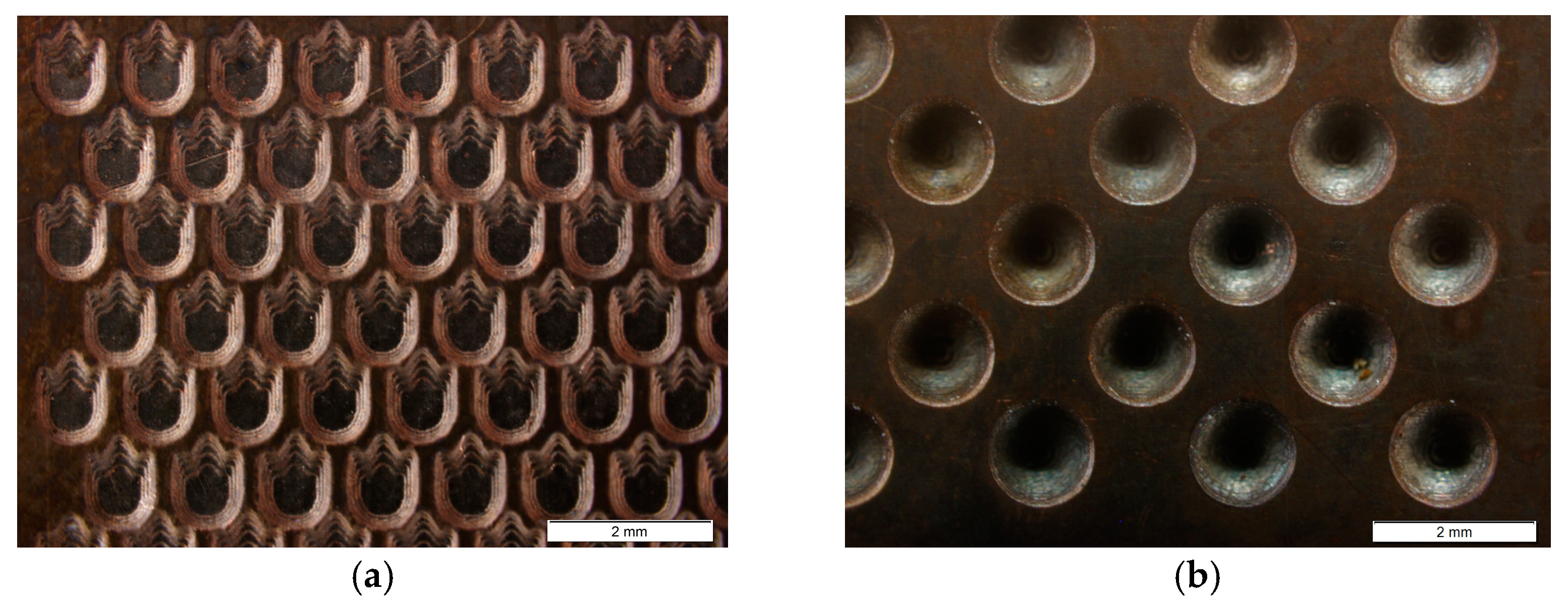 Materials 18 01972 g010