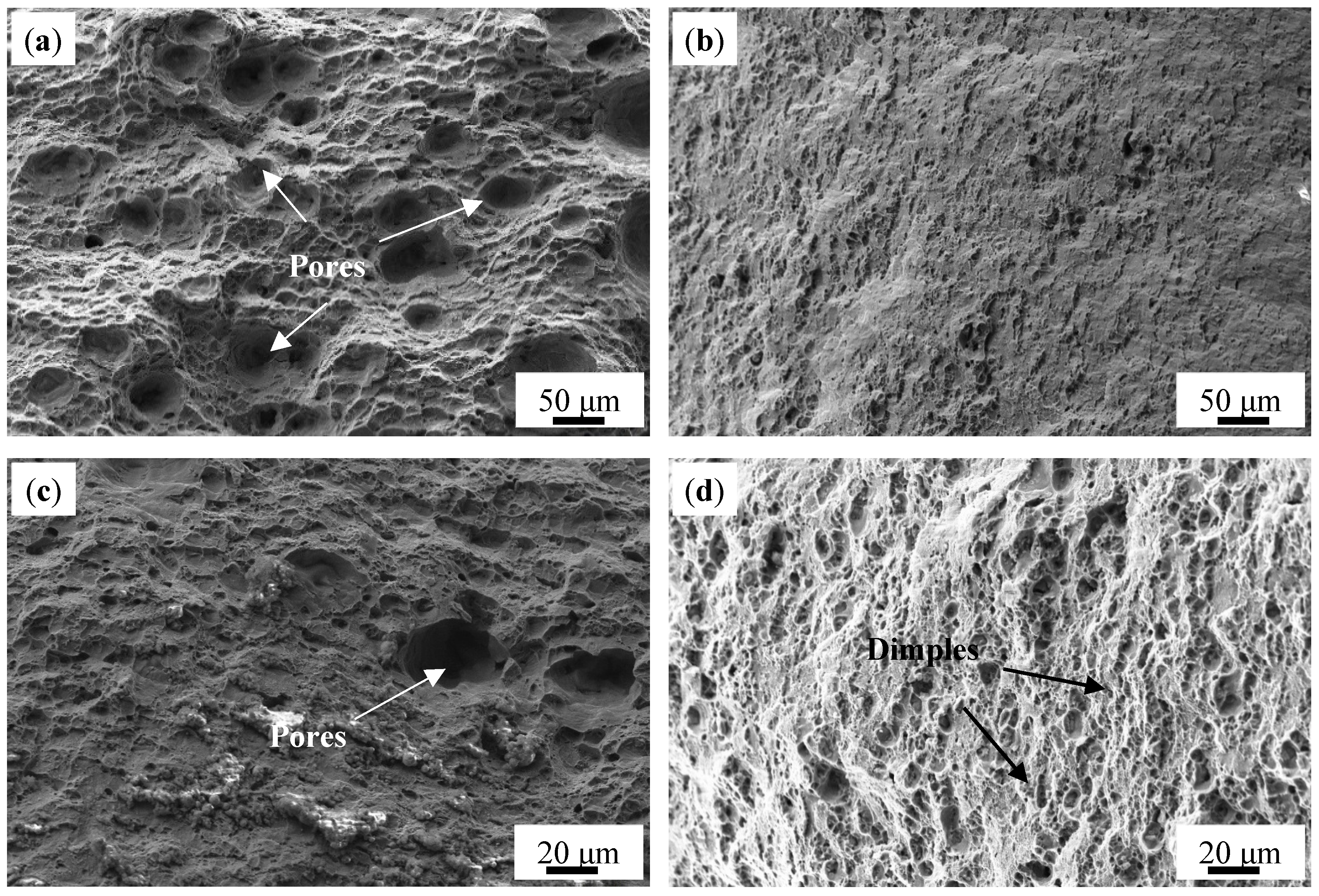 Materials 18 01978 g016