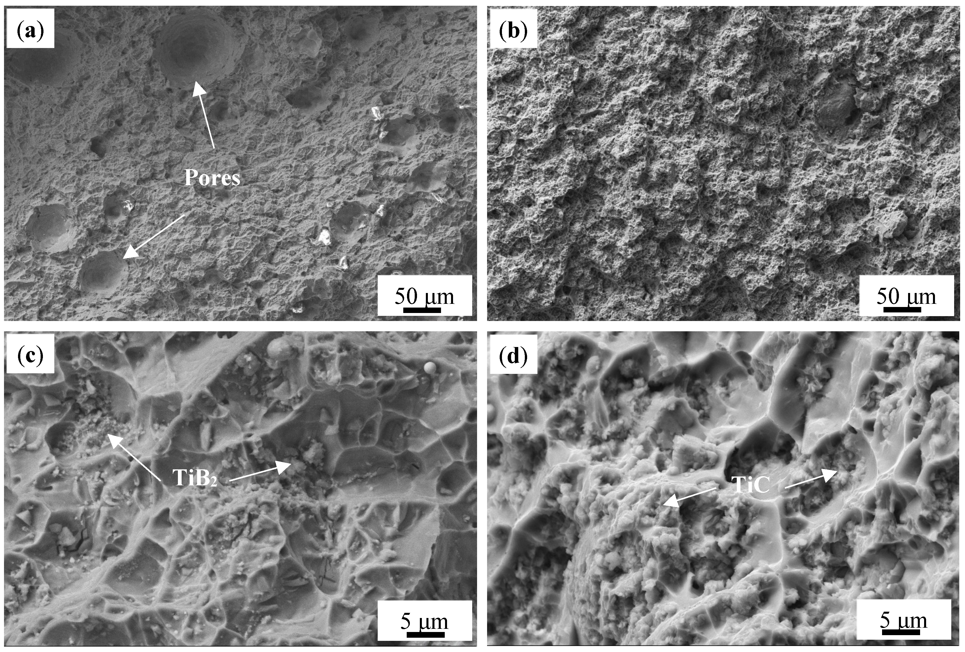 Materials 18 01978 g017