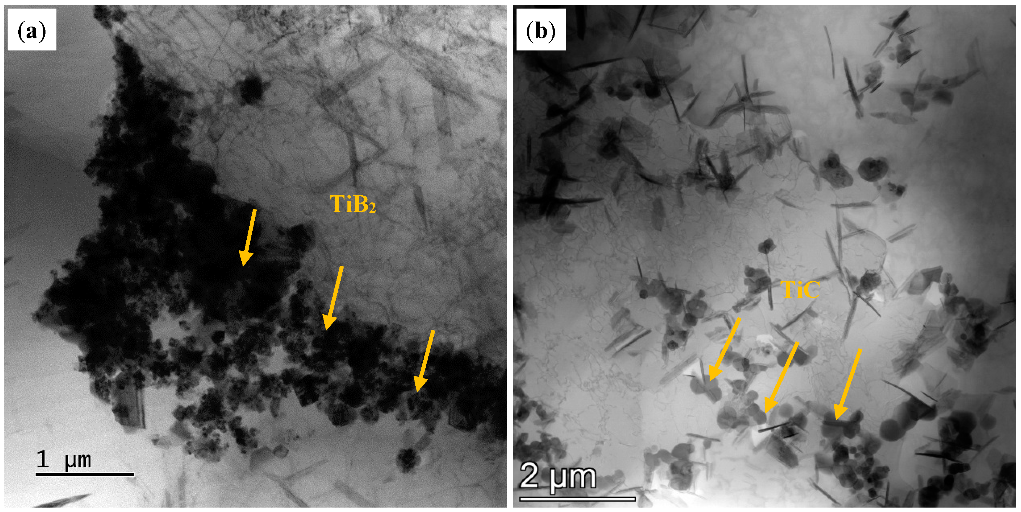 Materials 18 01978 g020