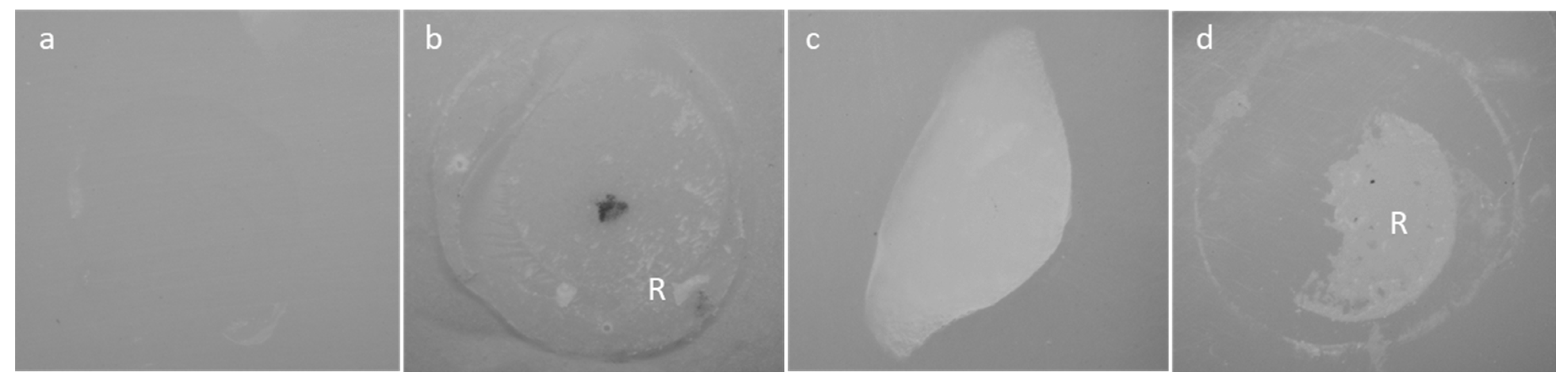 Materials 18 01983 g004