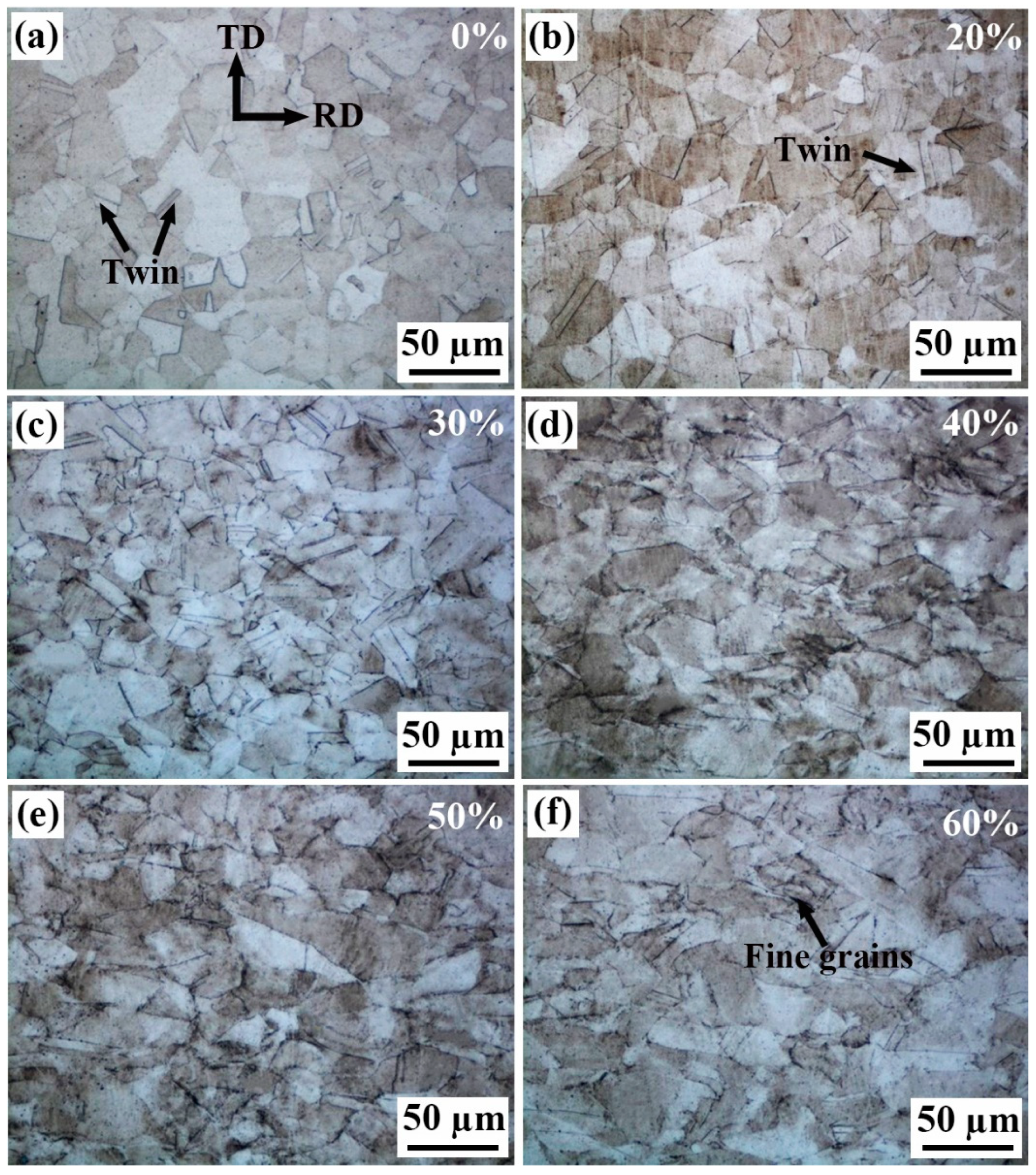 Materials 18 02026 g001