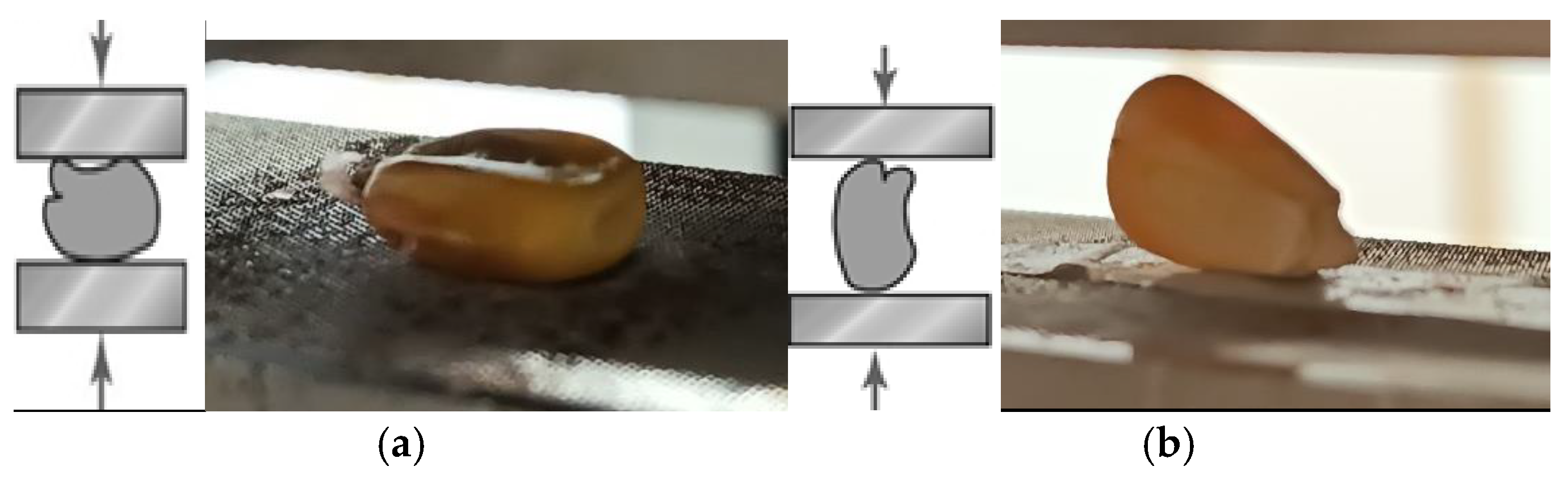 Materials 18 02075 g008