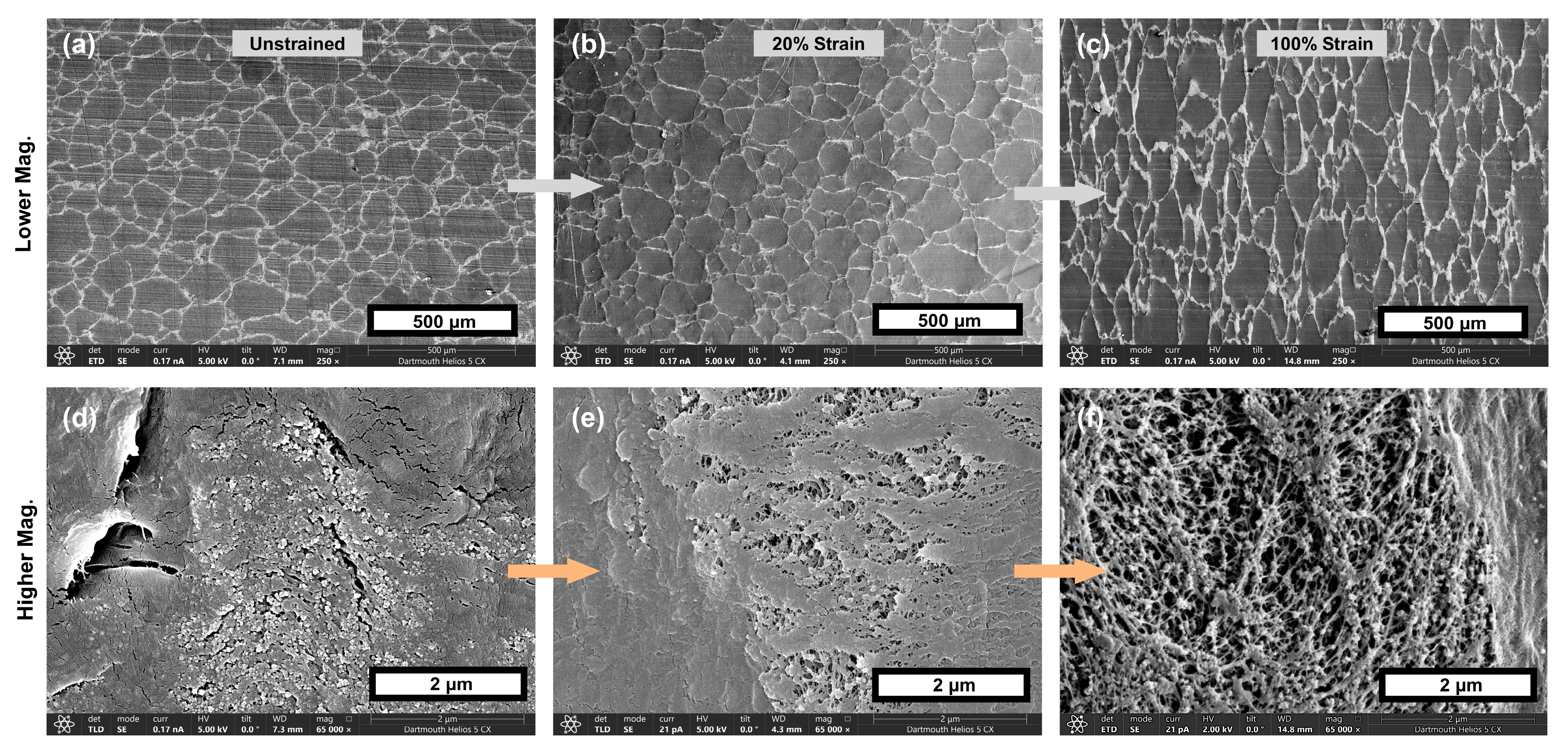 Materials 18 02542 g004