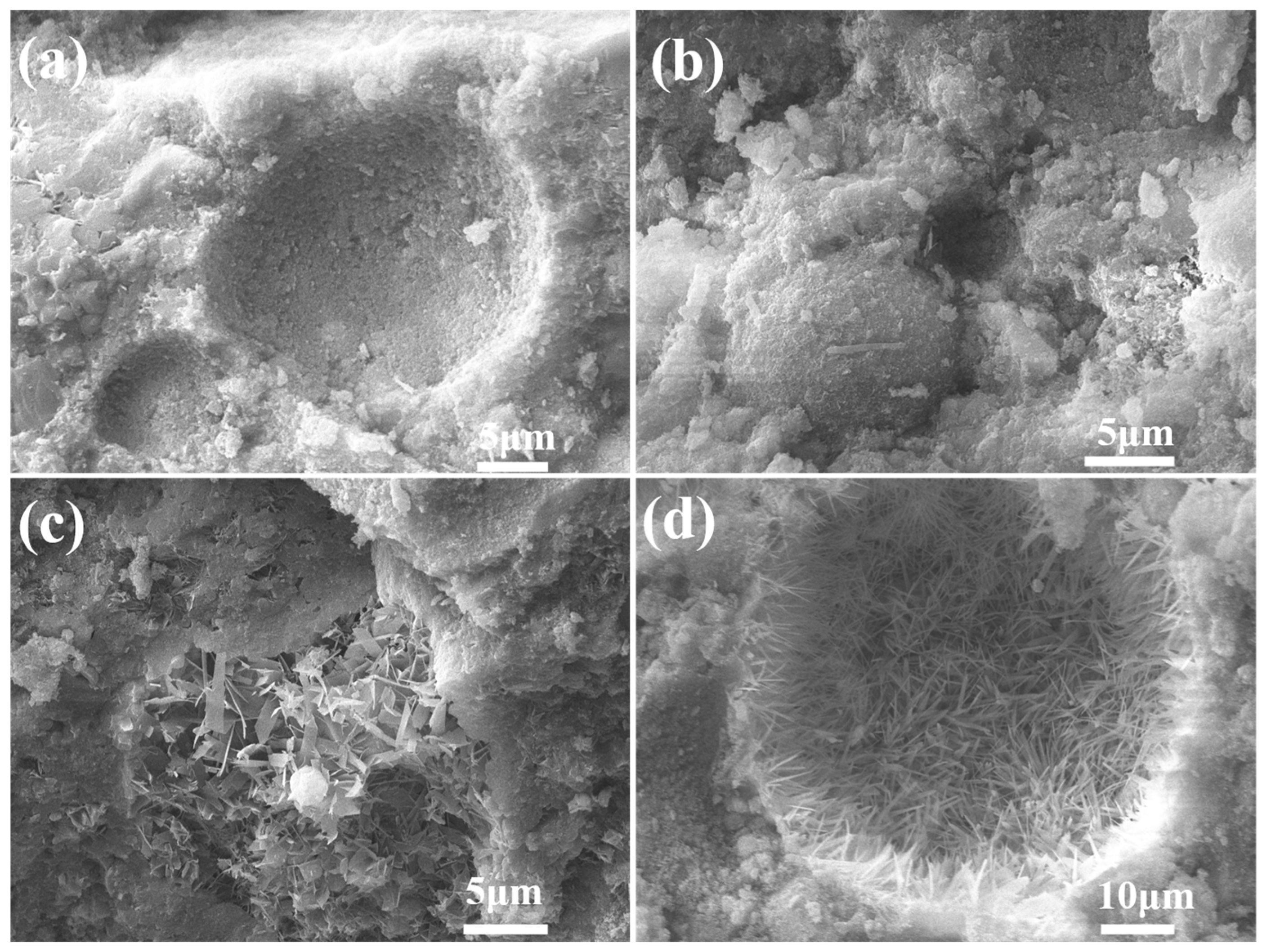 Materials 18 02739 g010