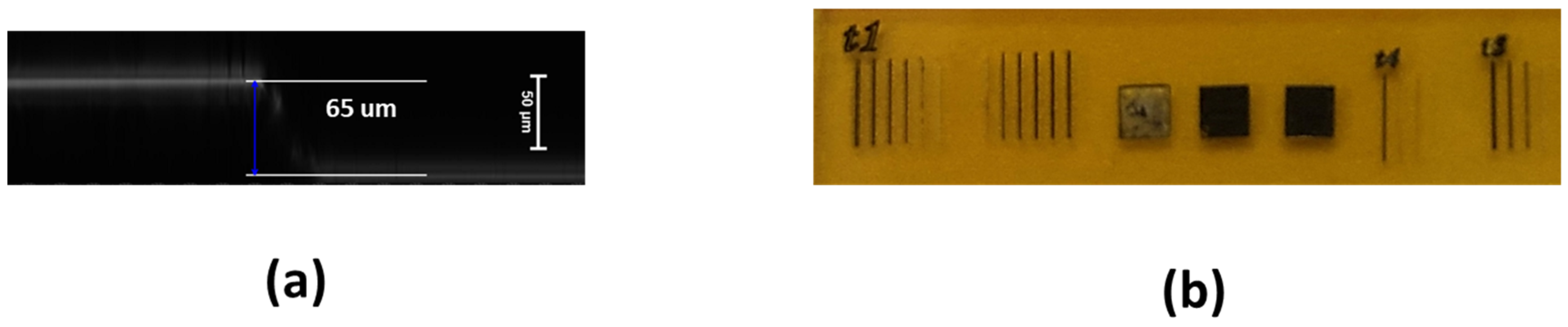 Materials 18 03119 g001