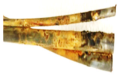 Materials 18 03460 i003