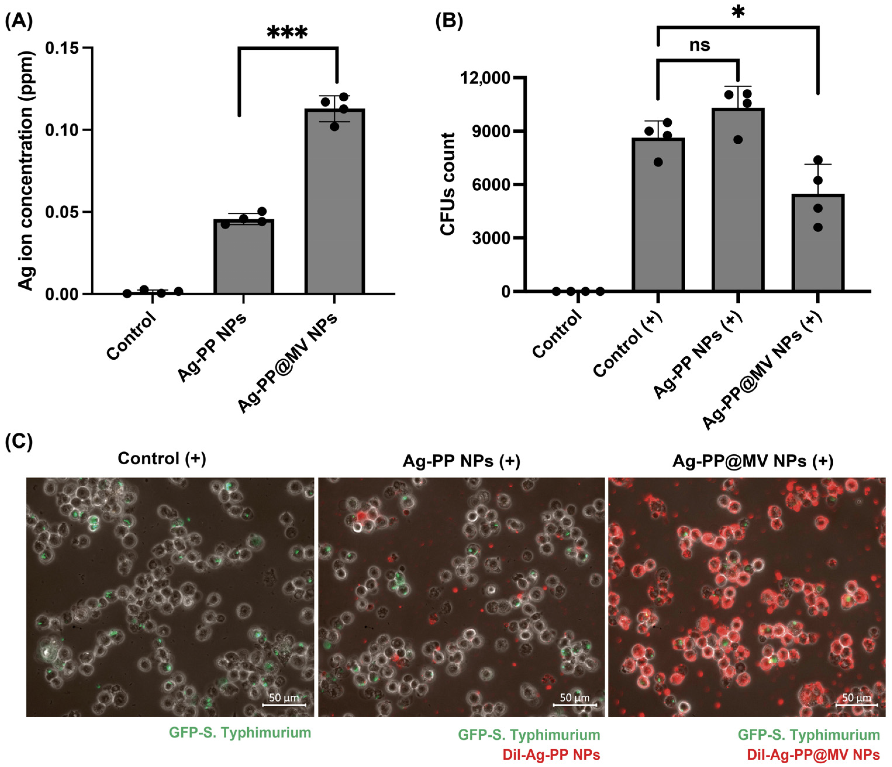 Materials 18 03470 g006
