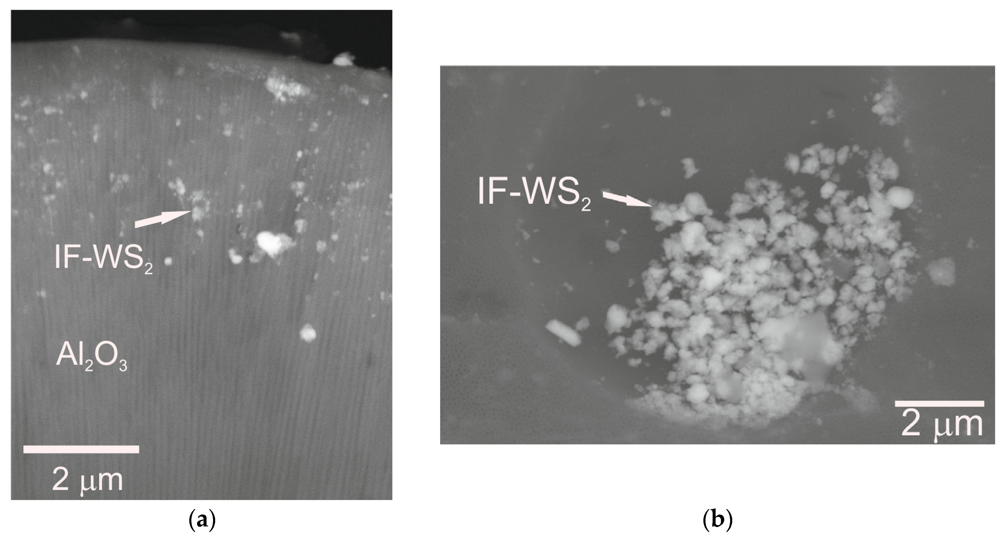 Materials 18 03471 g002