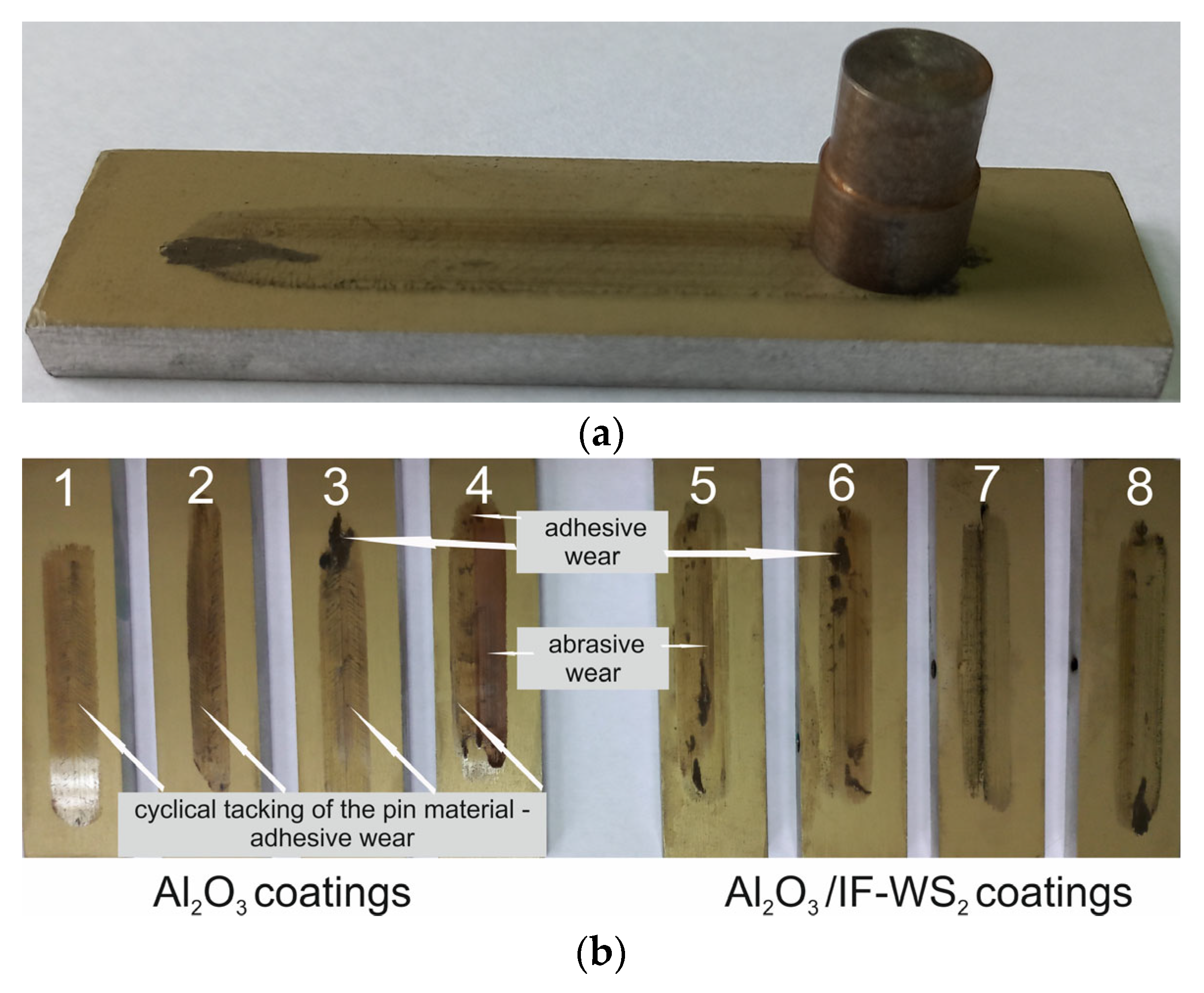 Materials 18 03471 g003