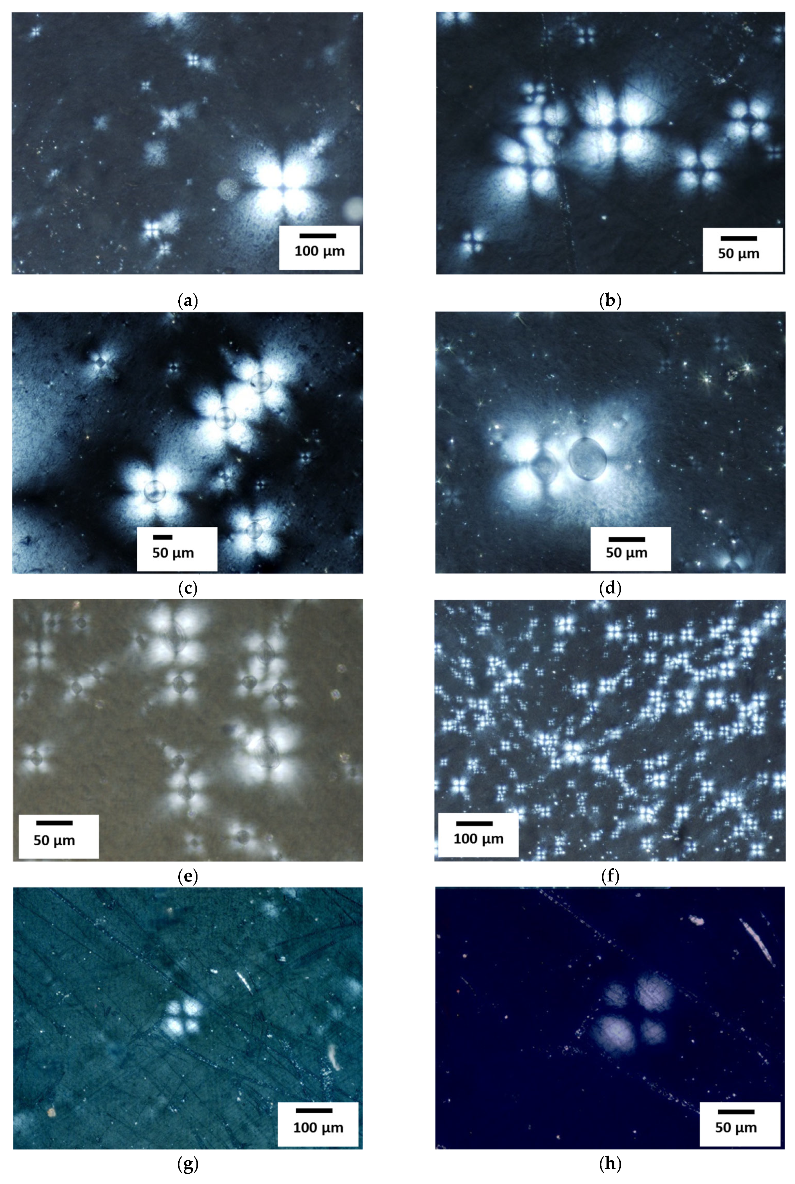 Materials 18 03620 g007