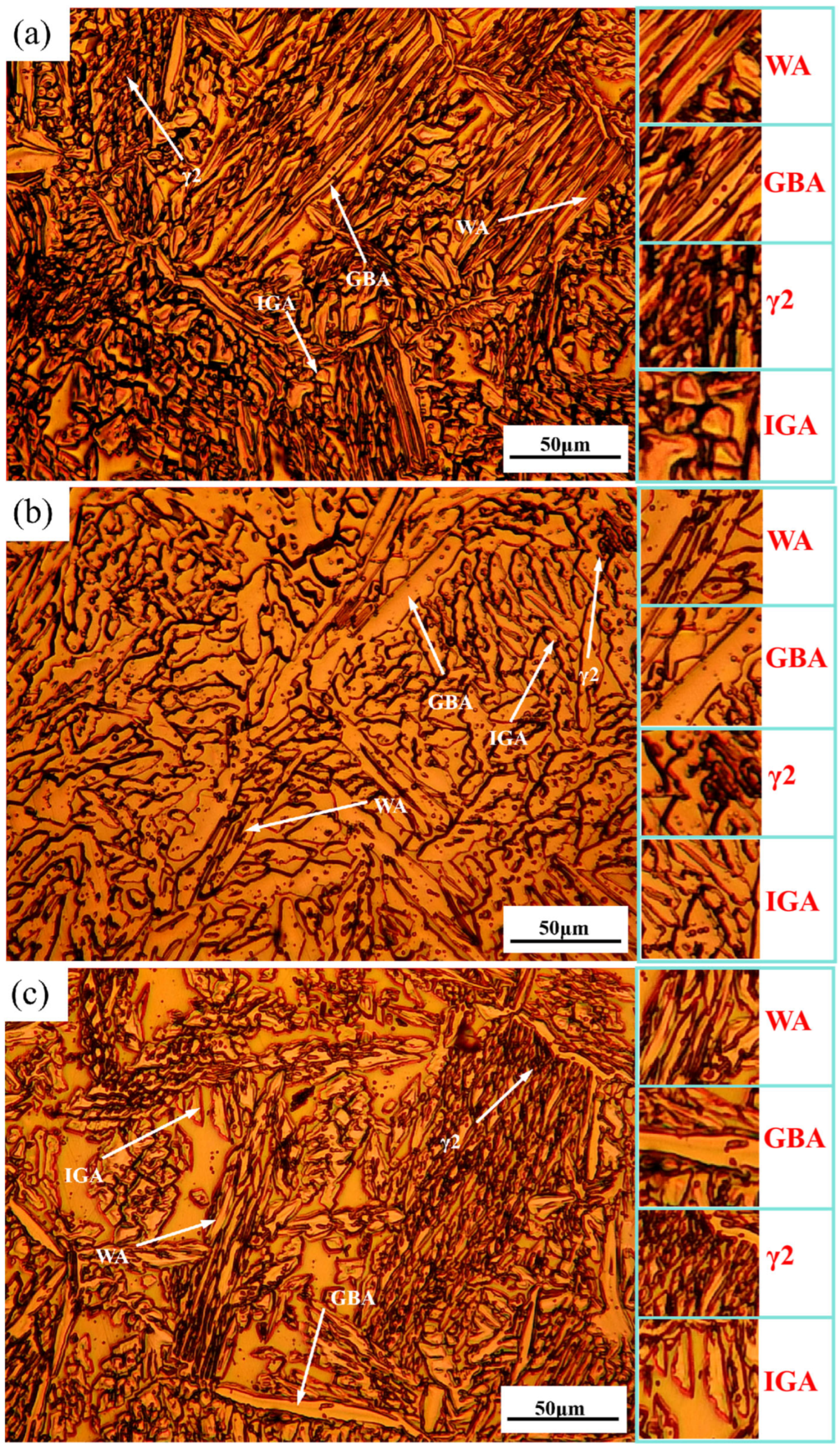 Materials 18 04066 g002 Materials 18 04066 g002