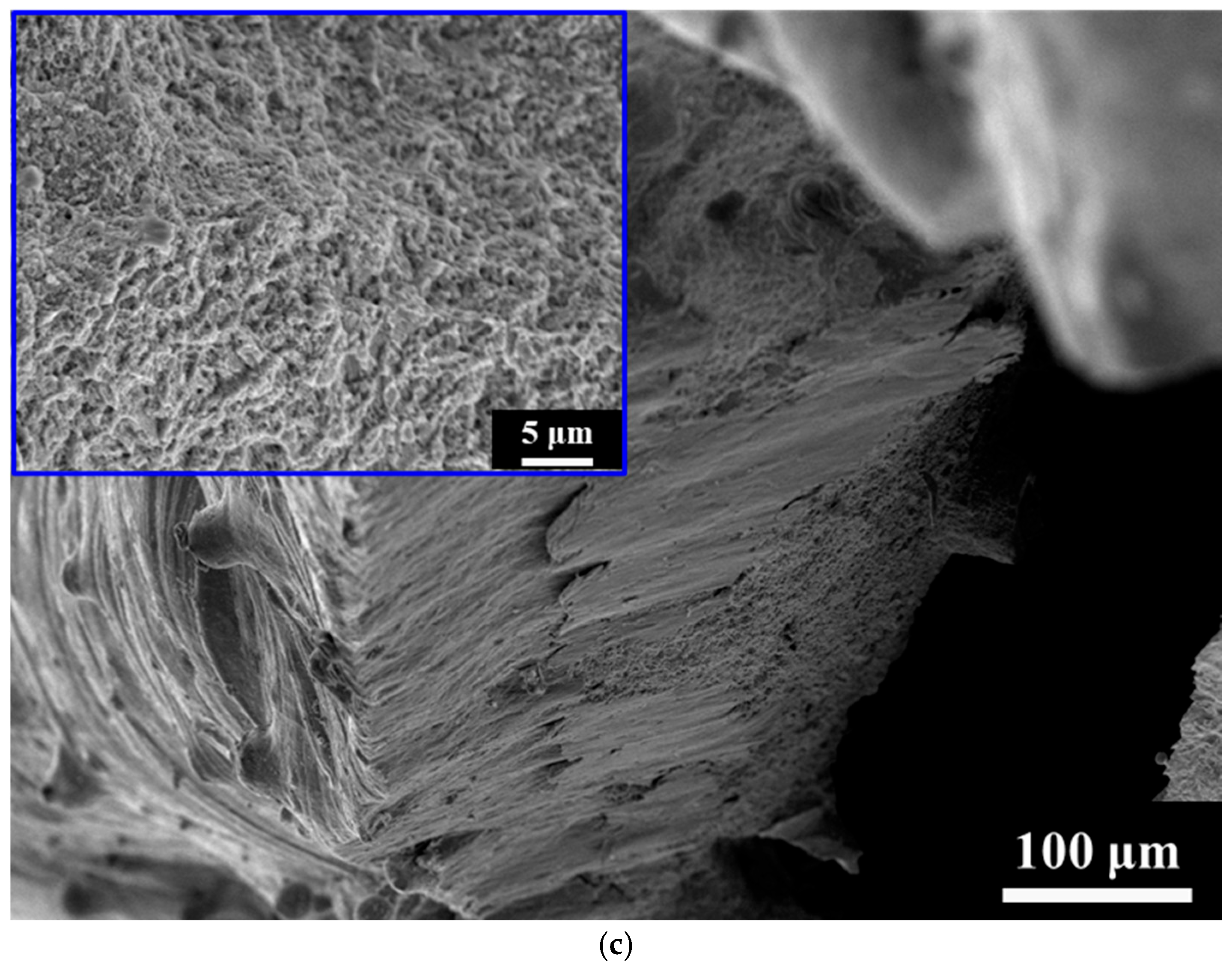 Materials 18 04443 g009b Materials 18 04443 g009b