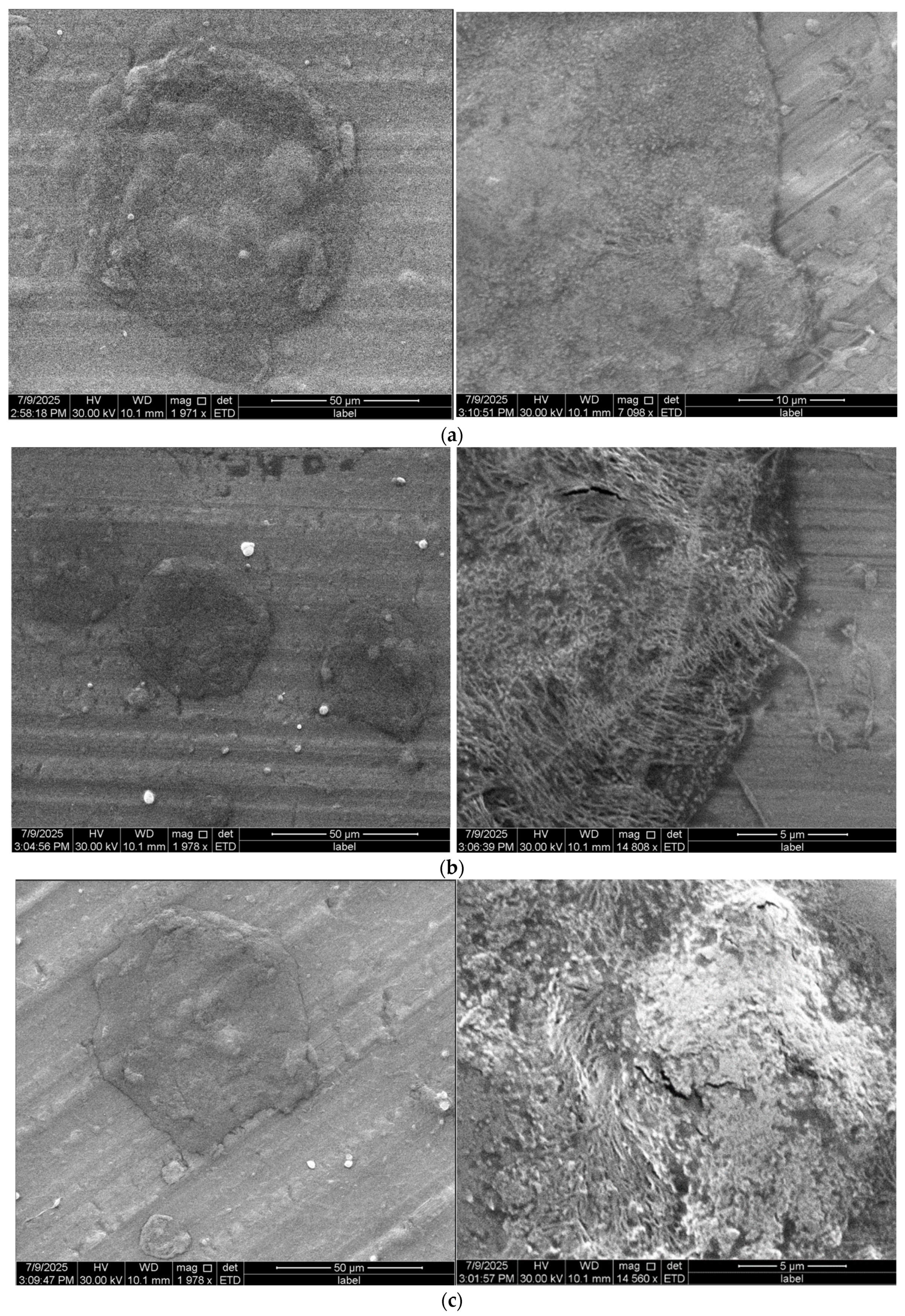 Materials 18 04502 g004 Materials 18 04502 g004