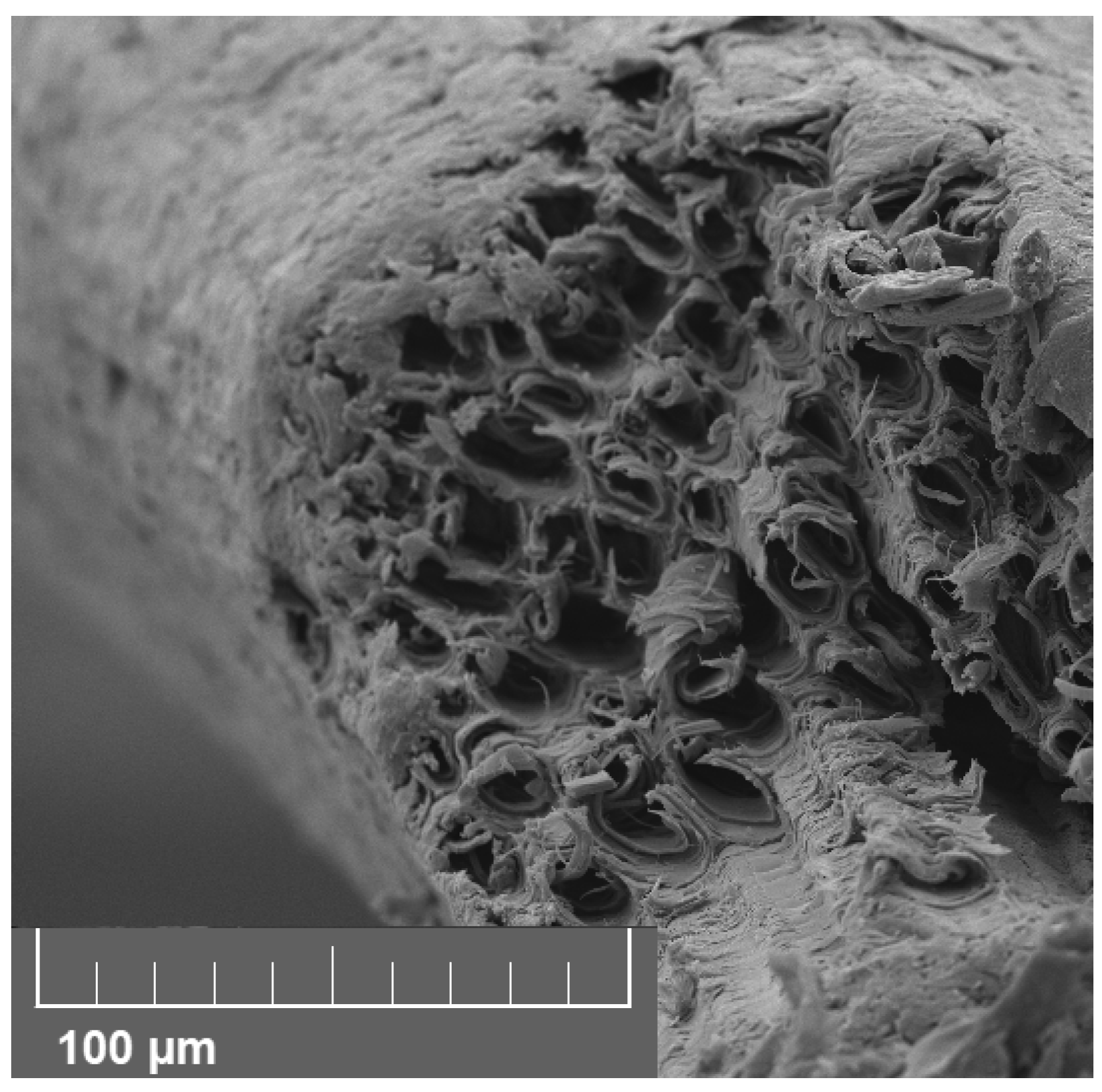 Materials 18 04521 g003 Materials 18 04521 g003