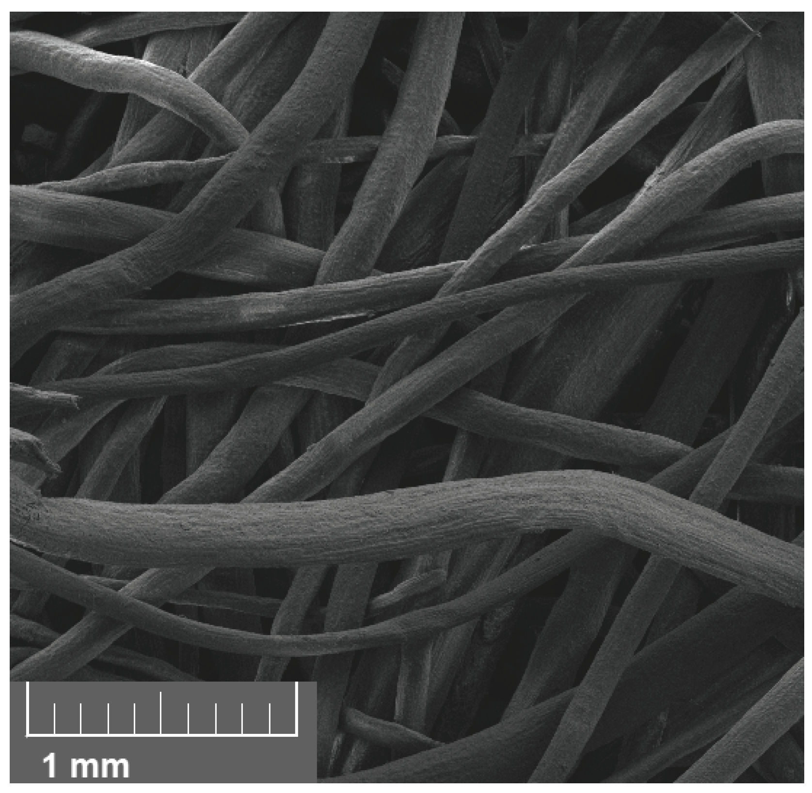 Materials 18 04521 g005 Materials 18 04521 g005