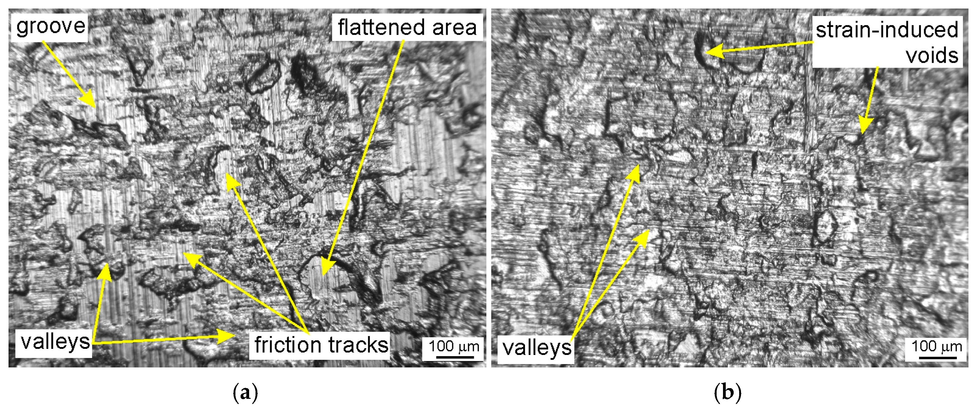 Materials 18 04534 g015a Materials 18 04534 g015a