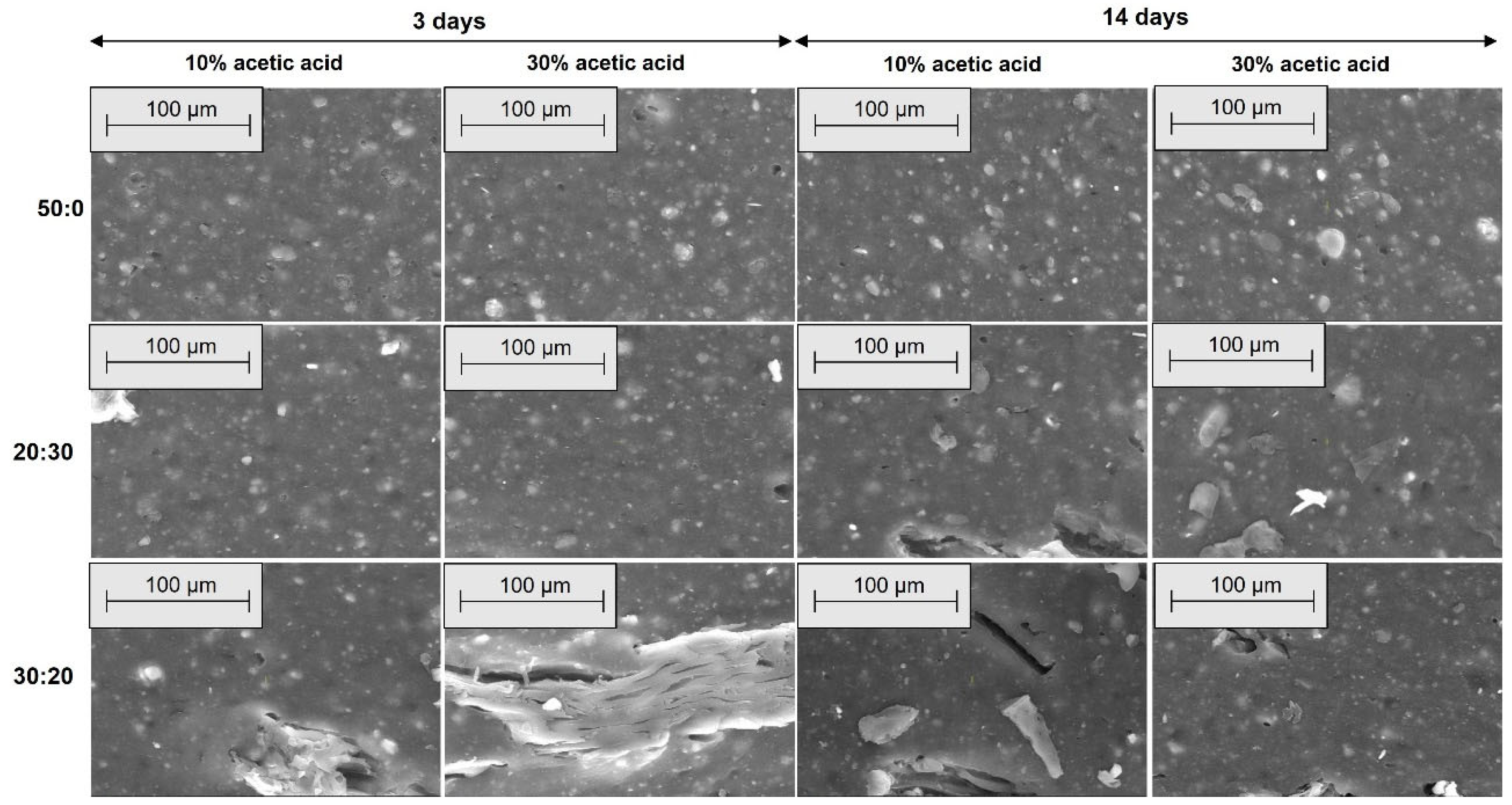 Materials 18 04557 g013 Materials 18 04557 g013