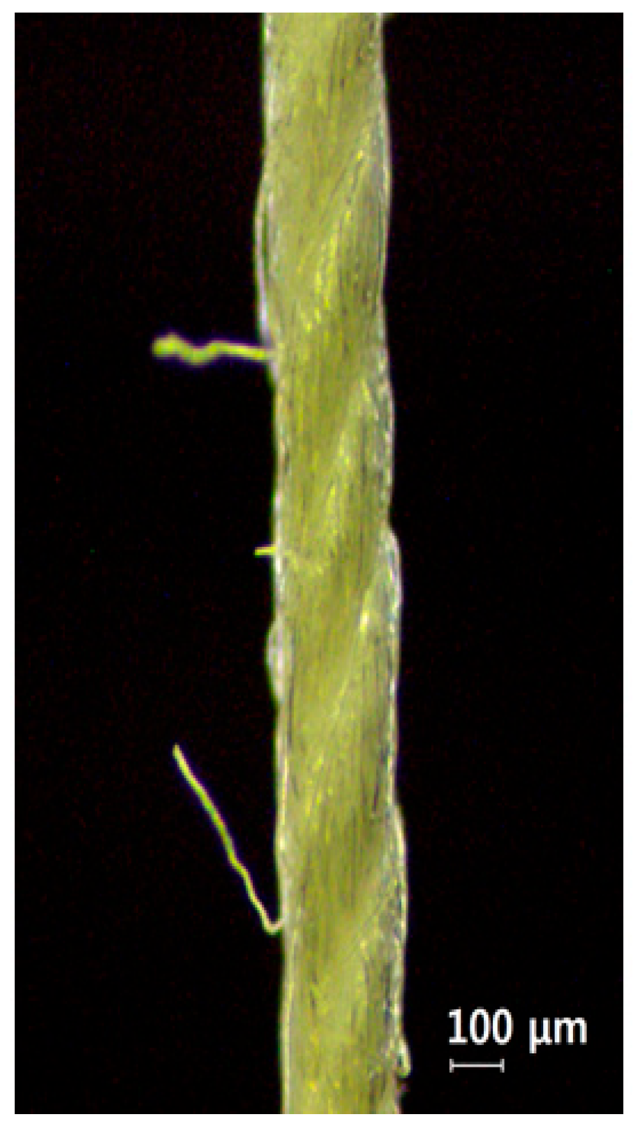 Materials 18 04582 g006 Materials 18 04582 g006