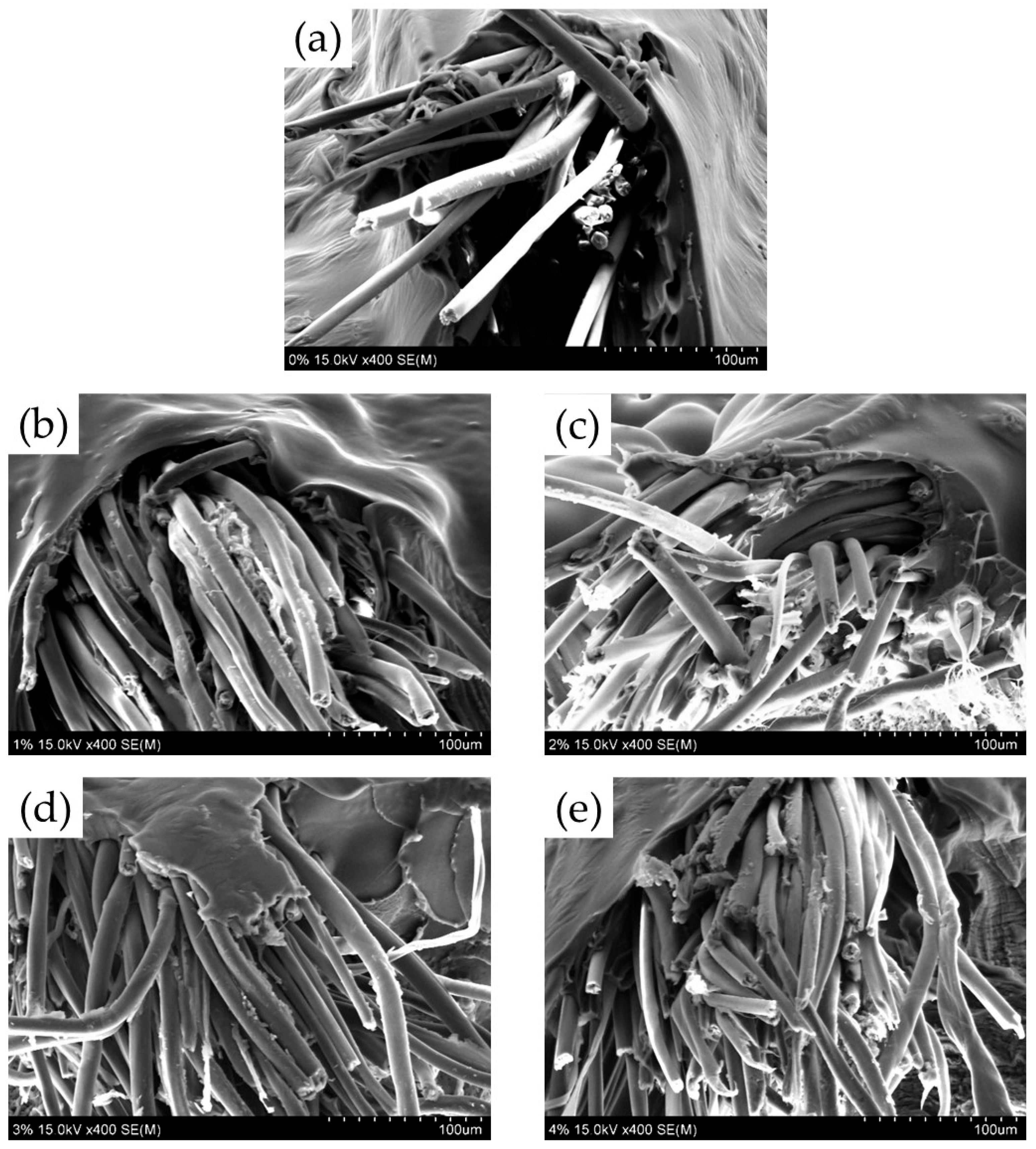 Materials 18 04582 g012 Materials 18 04582 g012
