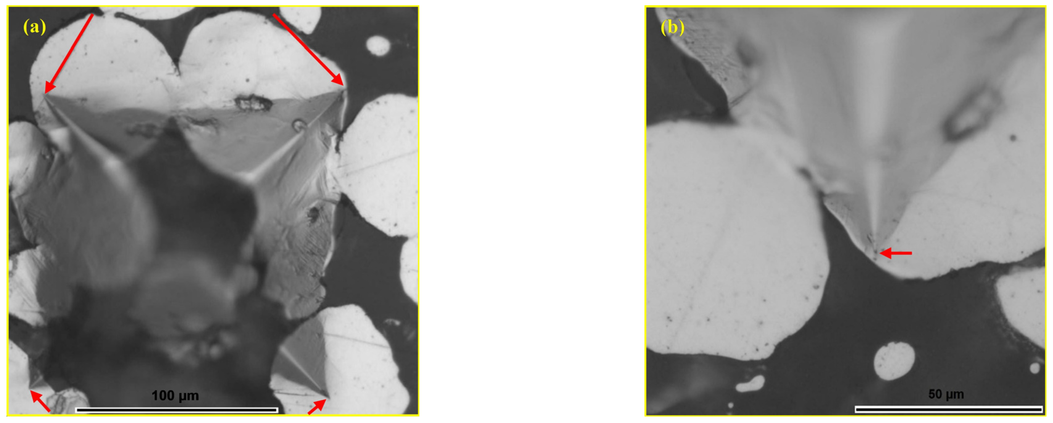 Materials 18 04622 g015 Materials 18 04622 g015