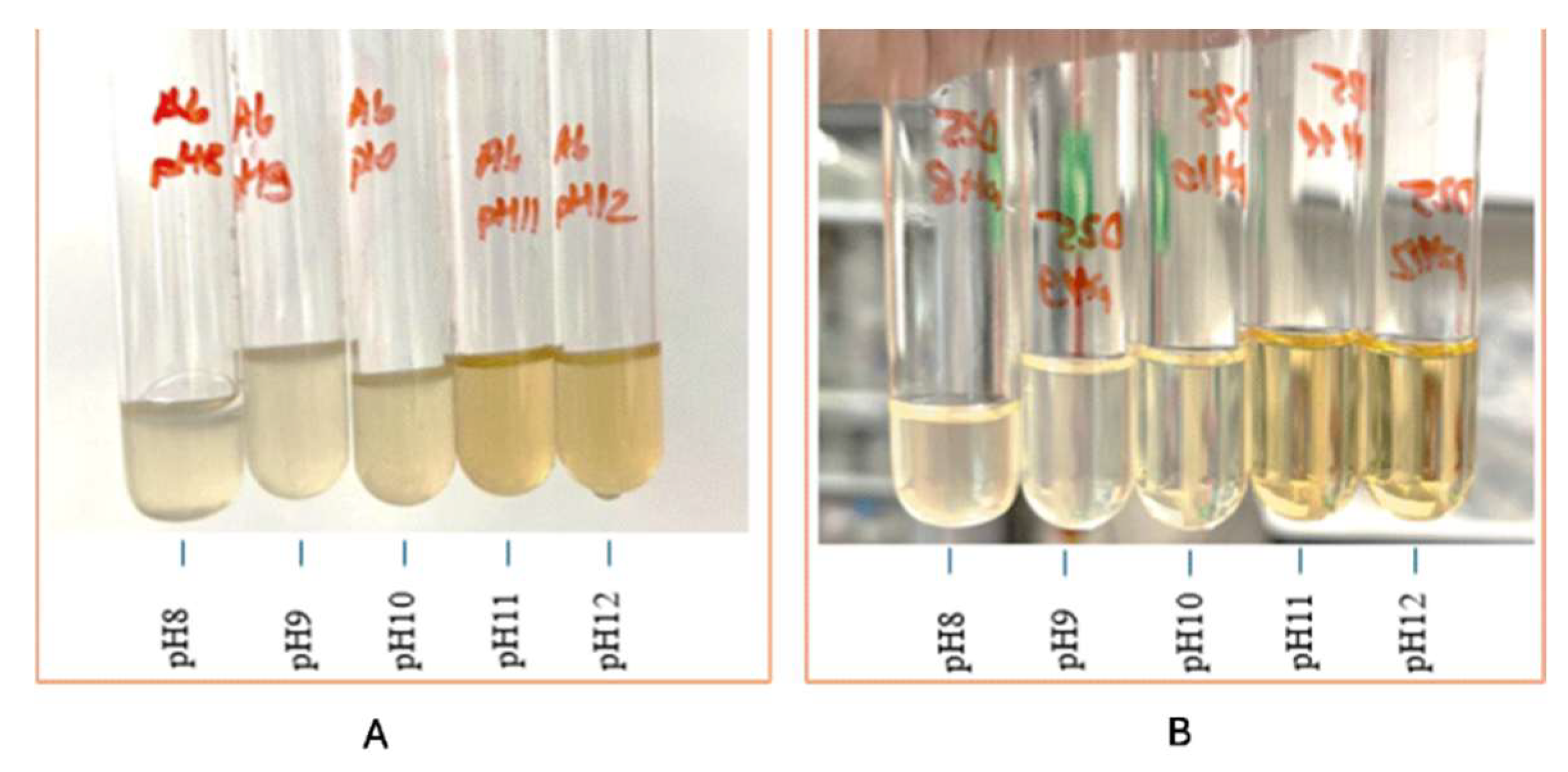 Materials 18 04795 g009 Materials 18 04795 g009