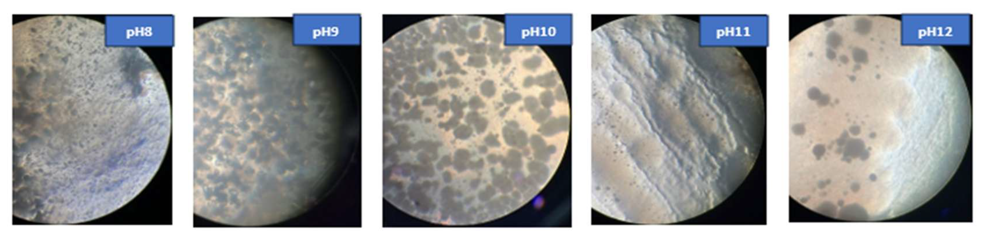 Materials 18 04795 g010 Materials 18 04795 g010