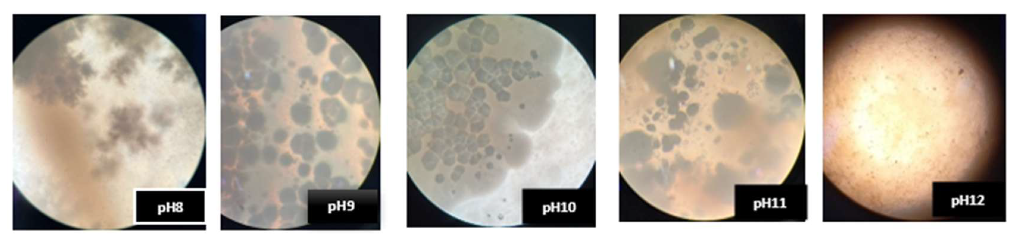 Materials 18 04795 g011 Materials 18 04795 g011