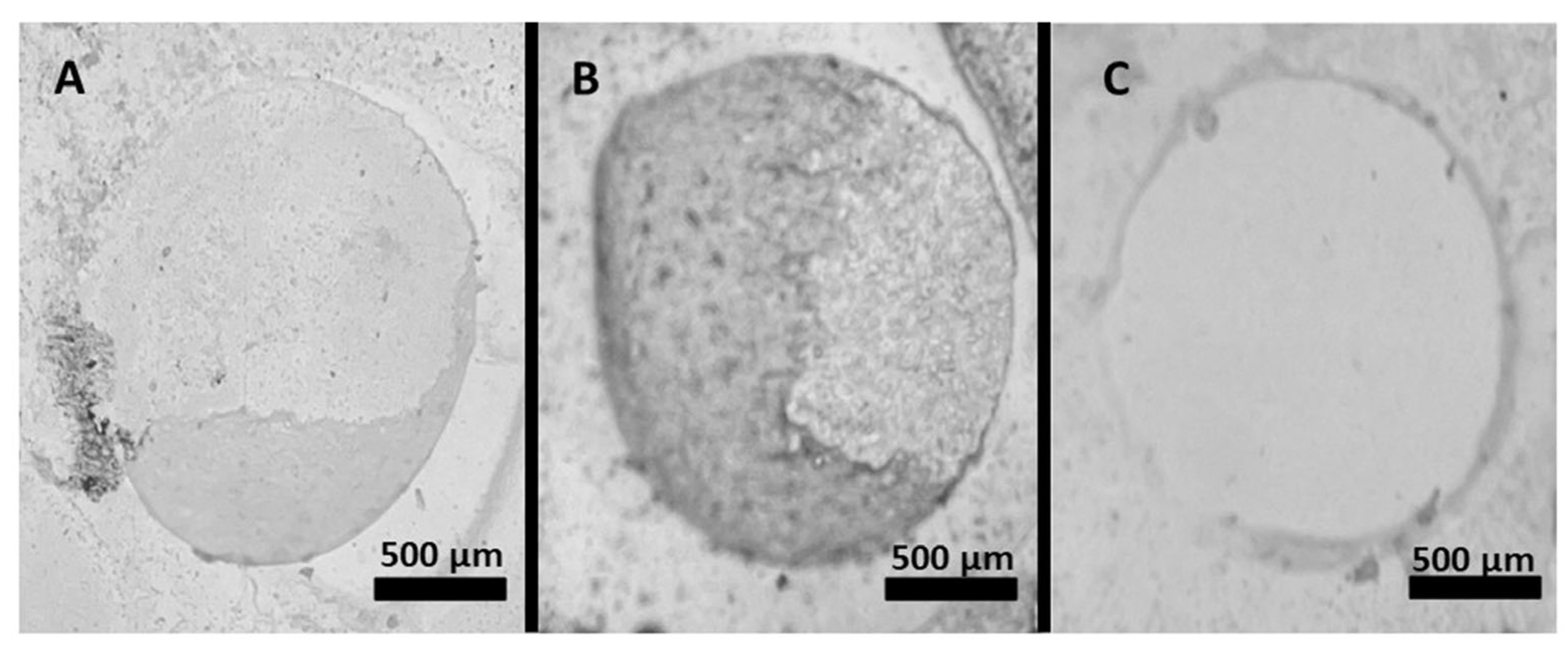 Materials 18 04831 g003 Materials 18 04831 g003