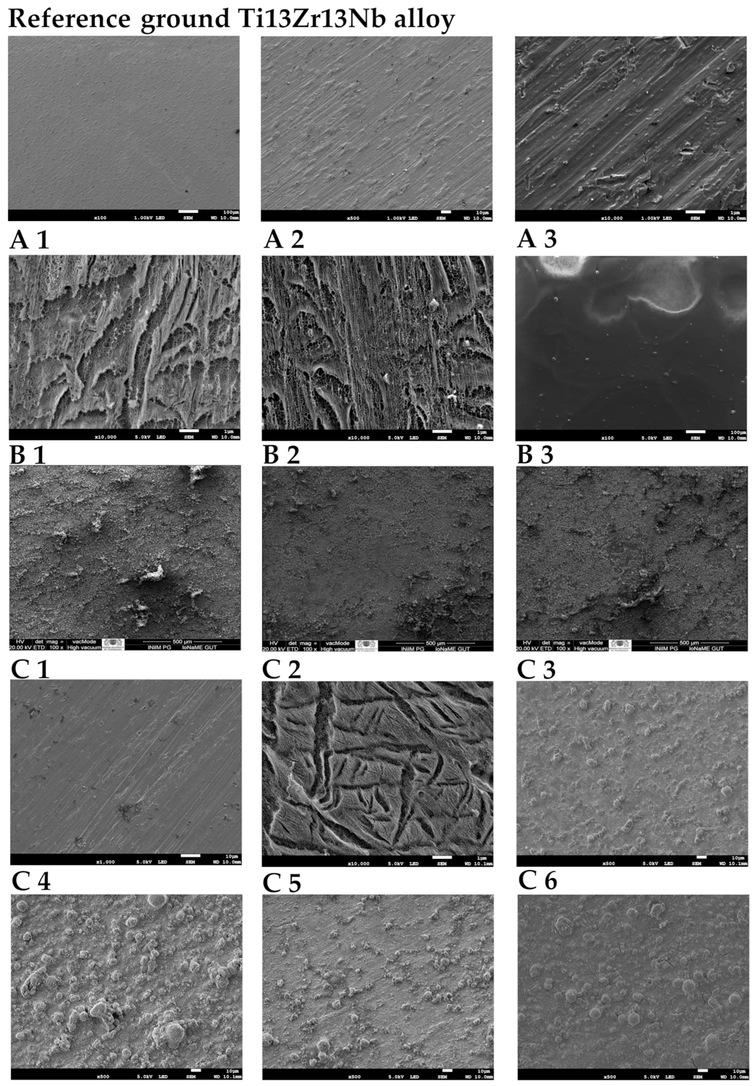 Materials 18 05323 g001 Materials 18 05323 g001