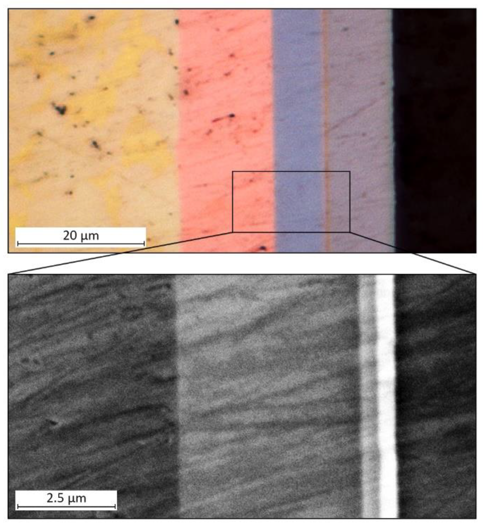 Materials Proceedings | Free Full-Text | Measuring the Thickness