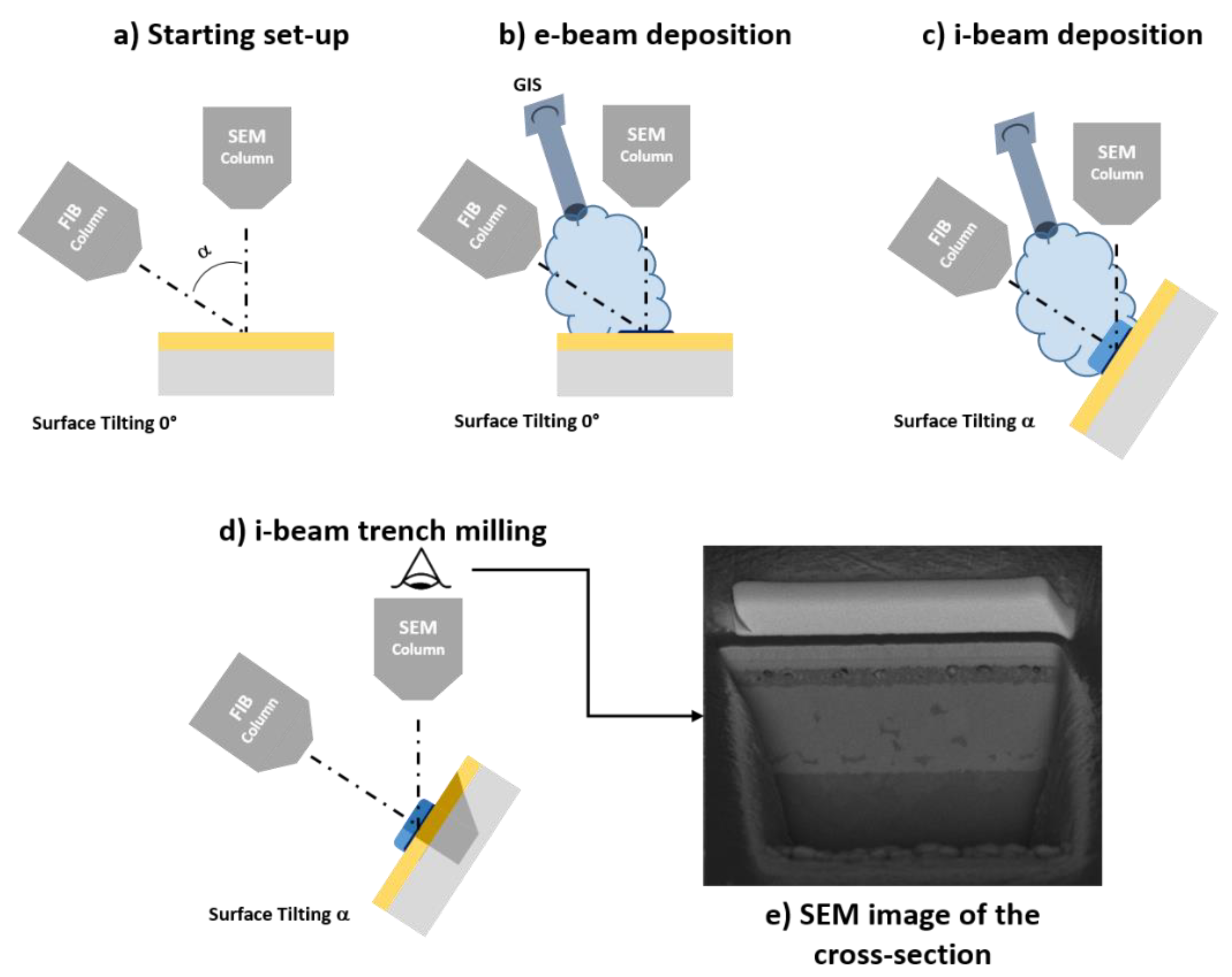 Materproc 02 00012 g002