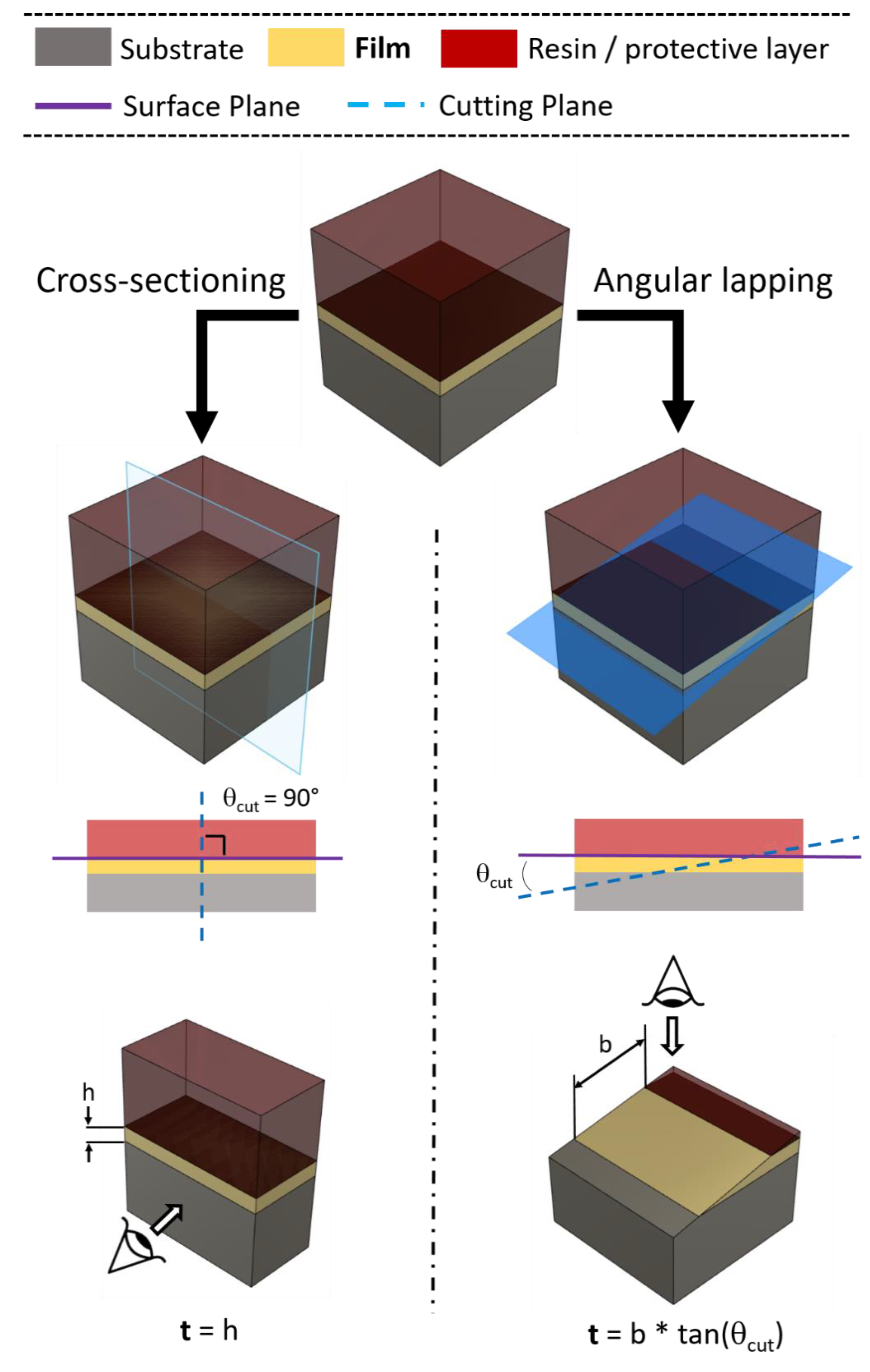 Materproc 02 00012 g003