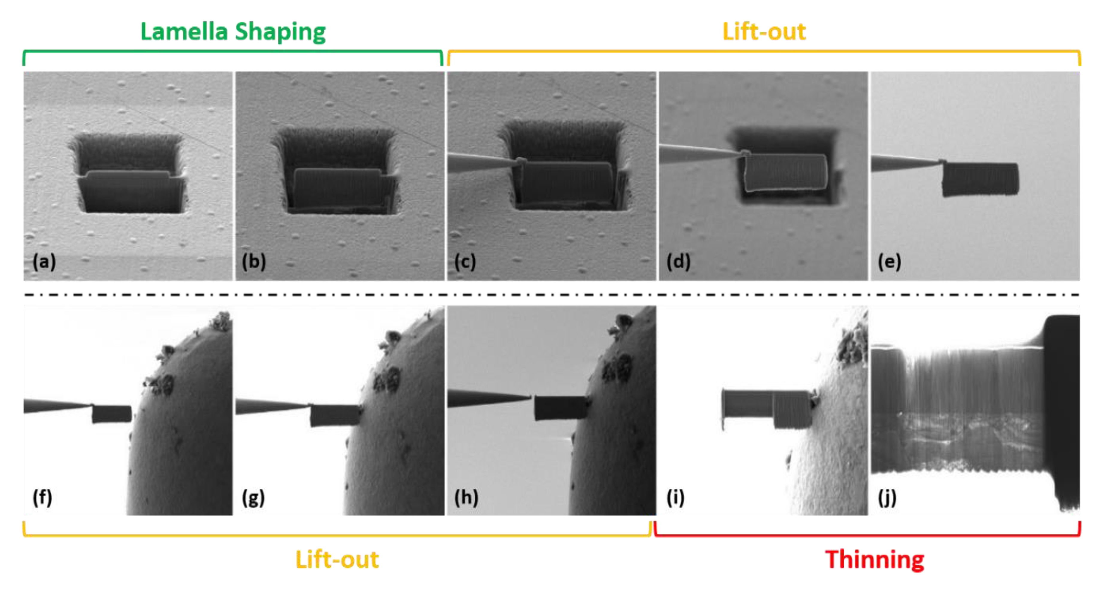 Materproc 02 00012 g005