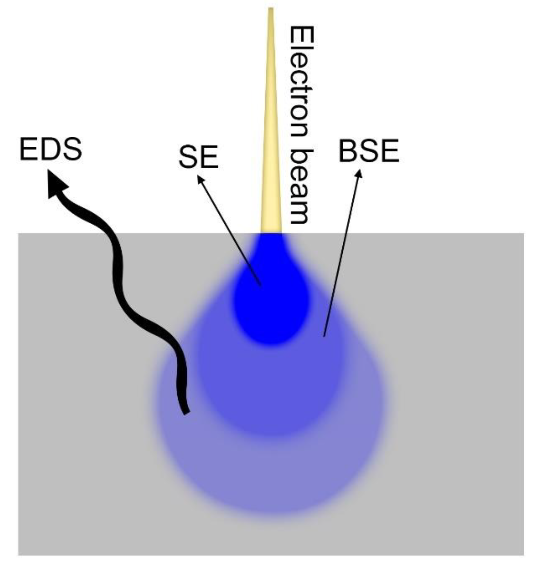 Materproc 02 00012 g006