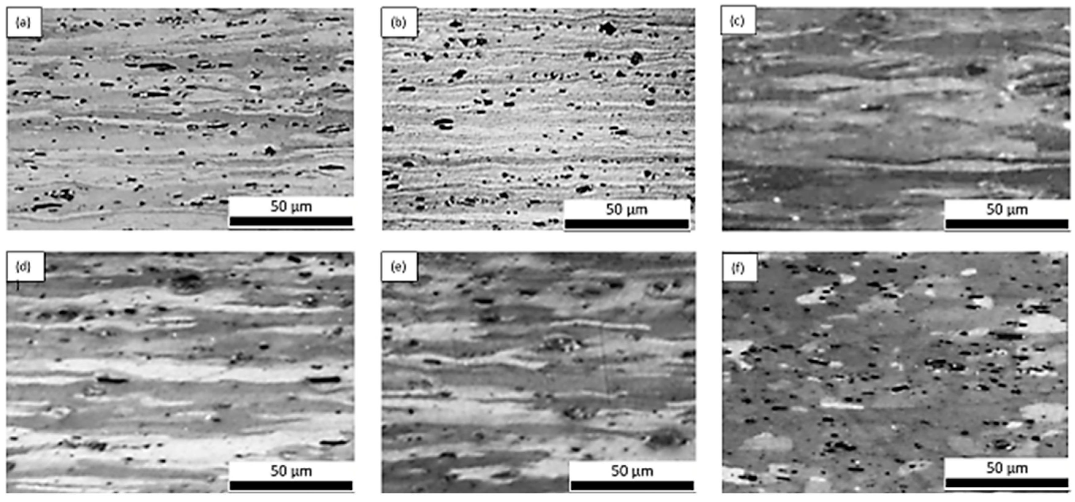Materproc 03 00011 g001