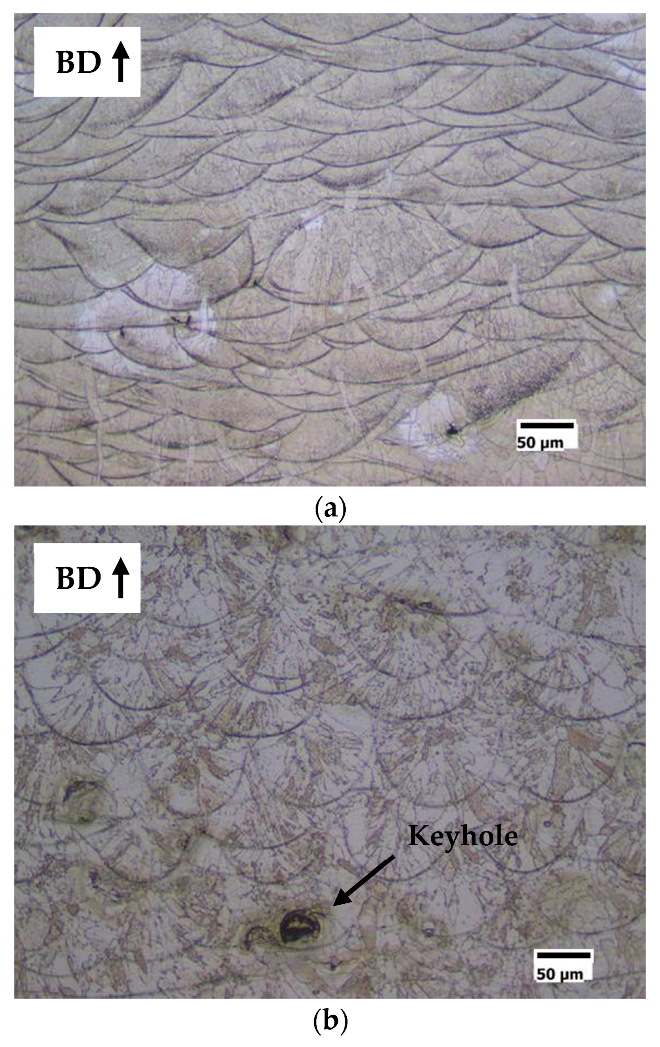 Materproc 03 00028 g003